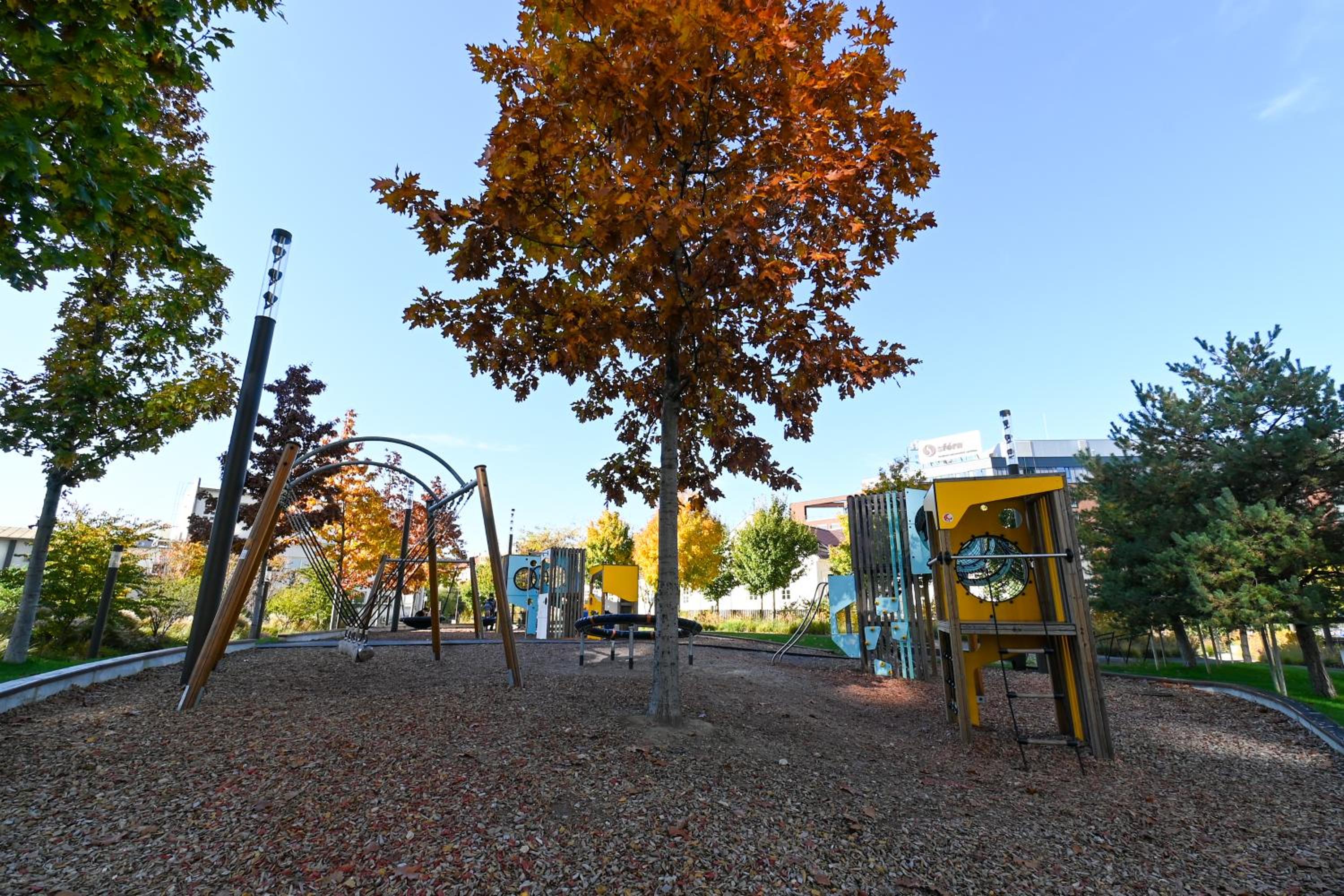 Photo 43