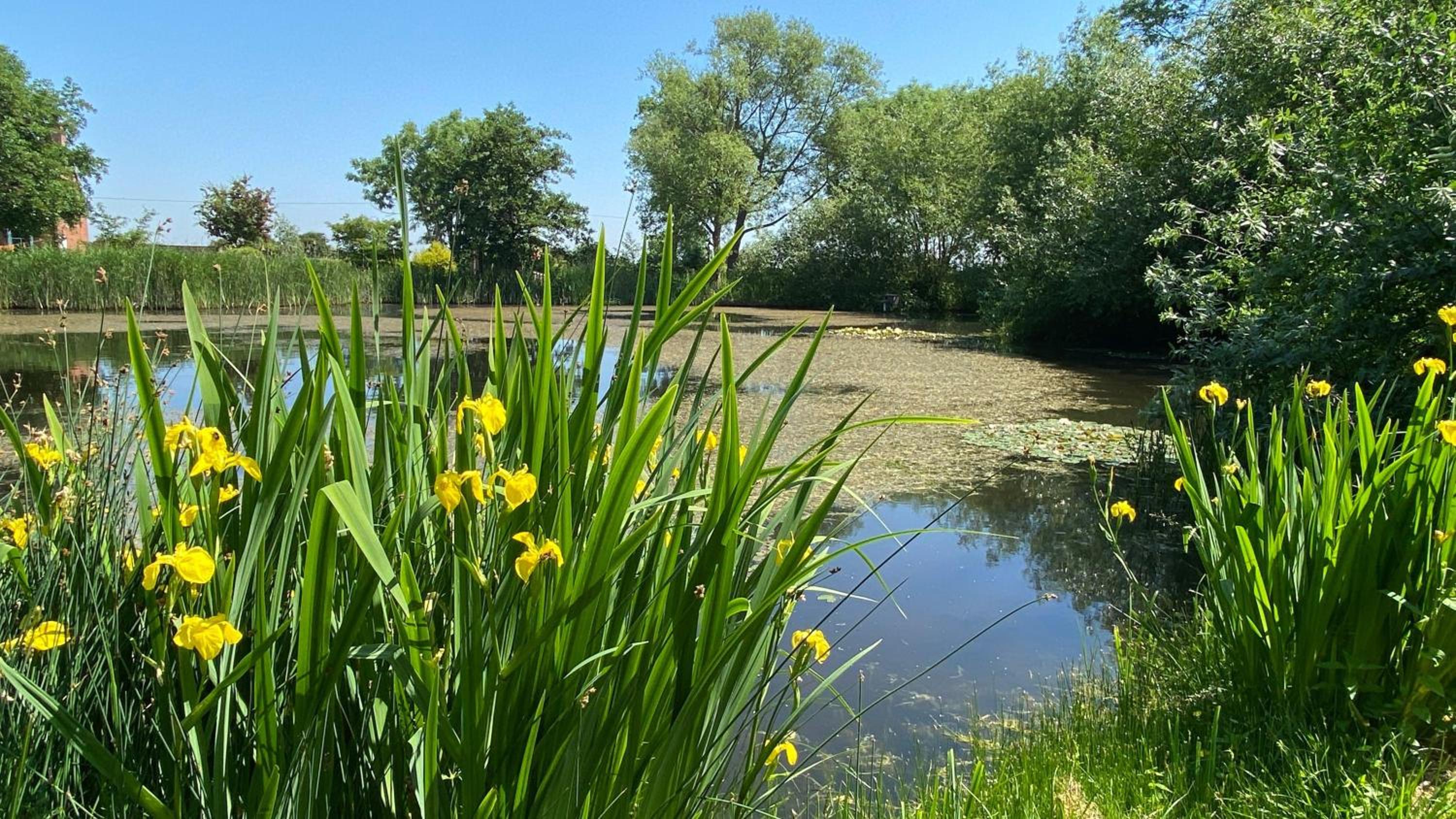 Ferienhof-Wohler-Wohnung-5