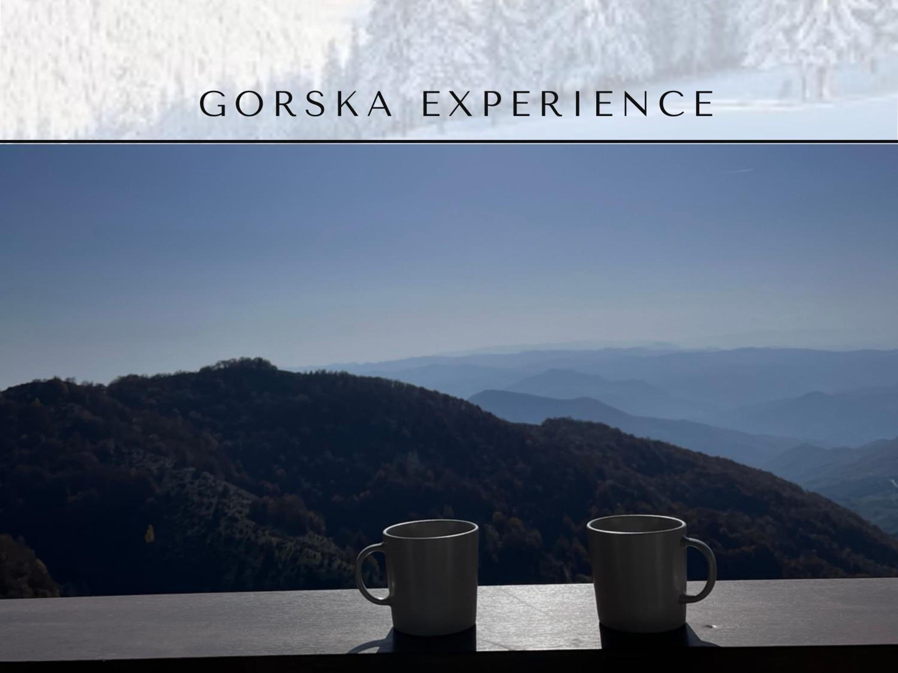 Apartman Gorska Experience - Ariš Kop kompleks view 4