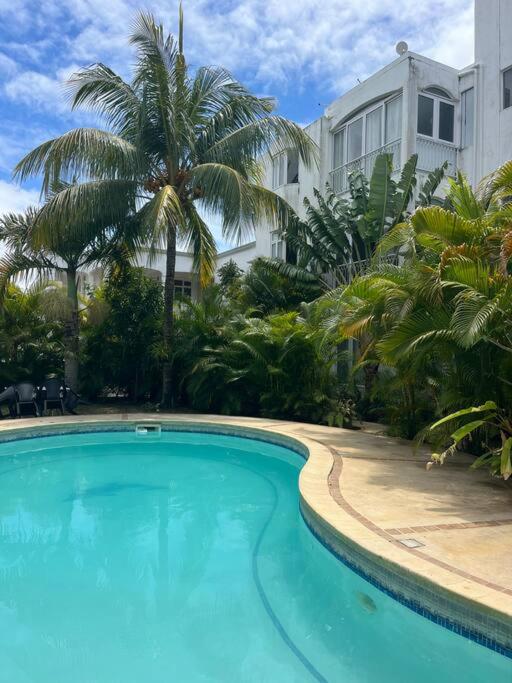 Paradise Palms