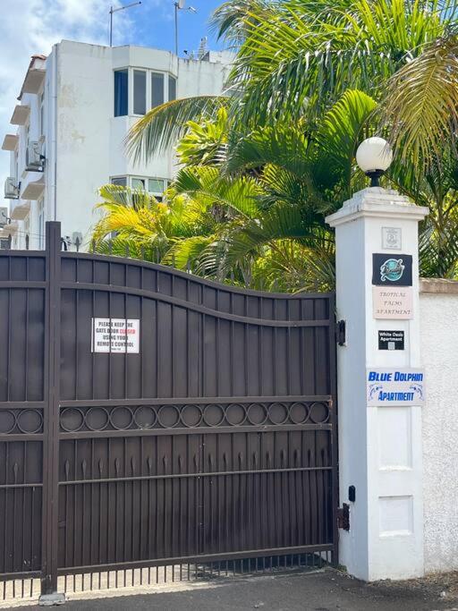 Paradise Palms
