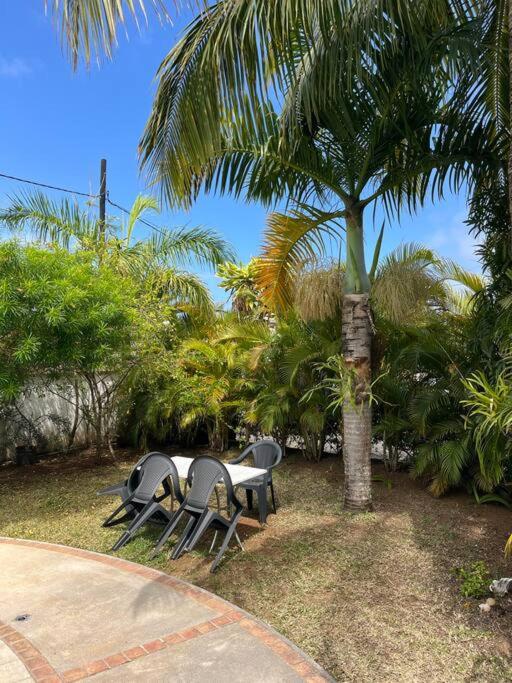 Paradise Palms