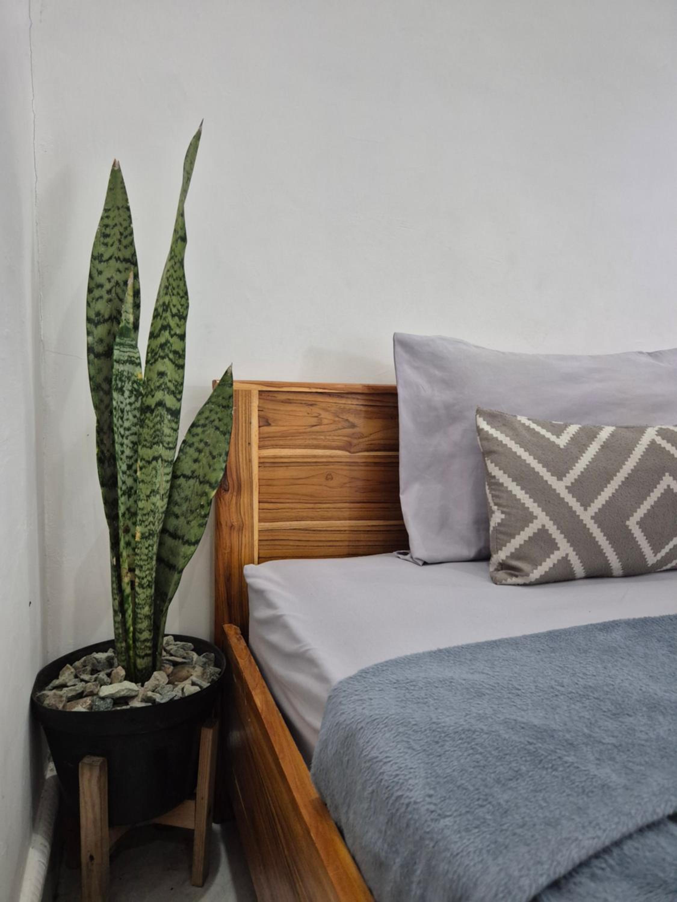Juliana HomeStay
