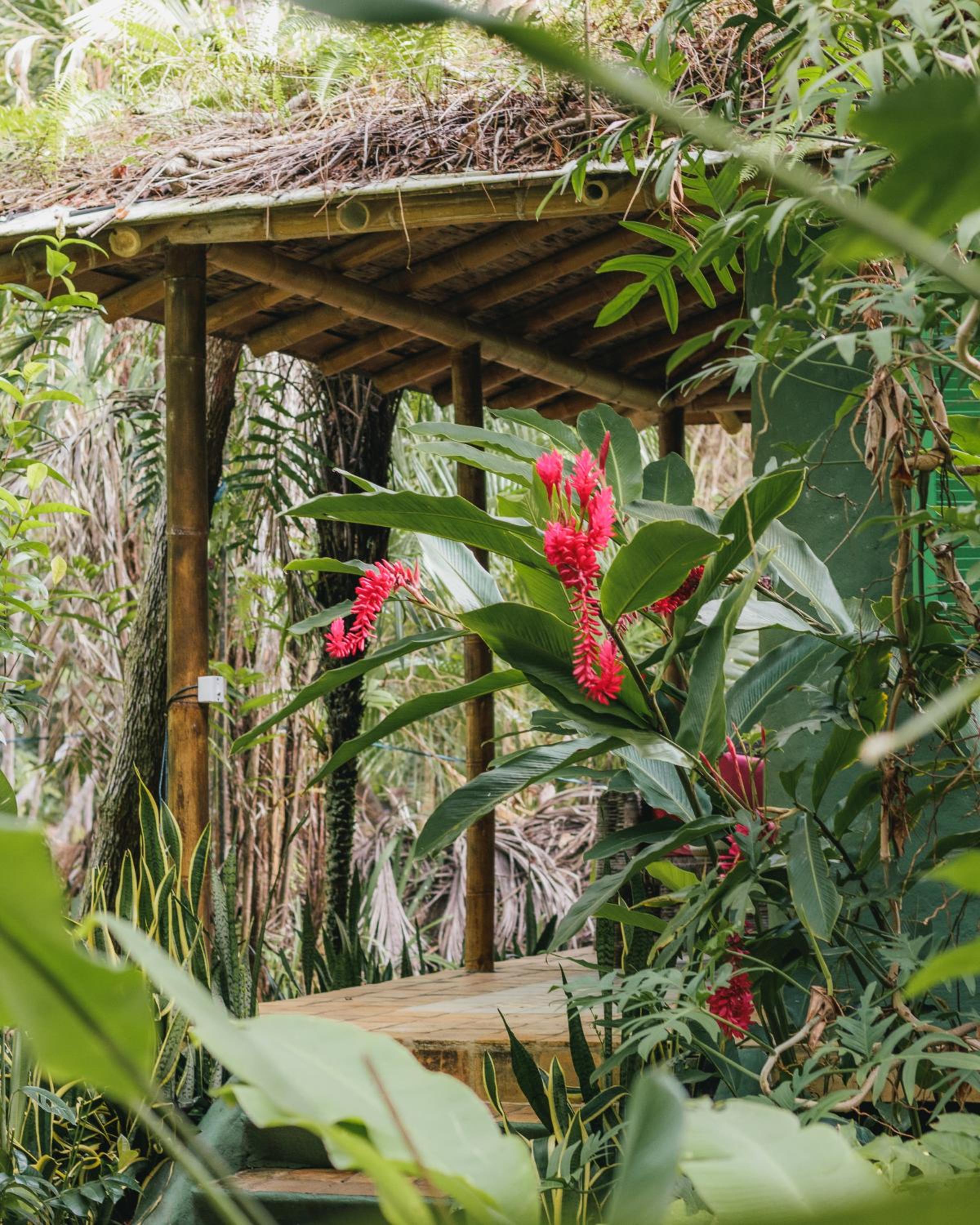 Butterfly House Bahia