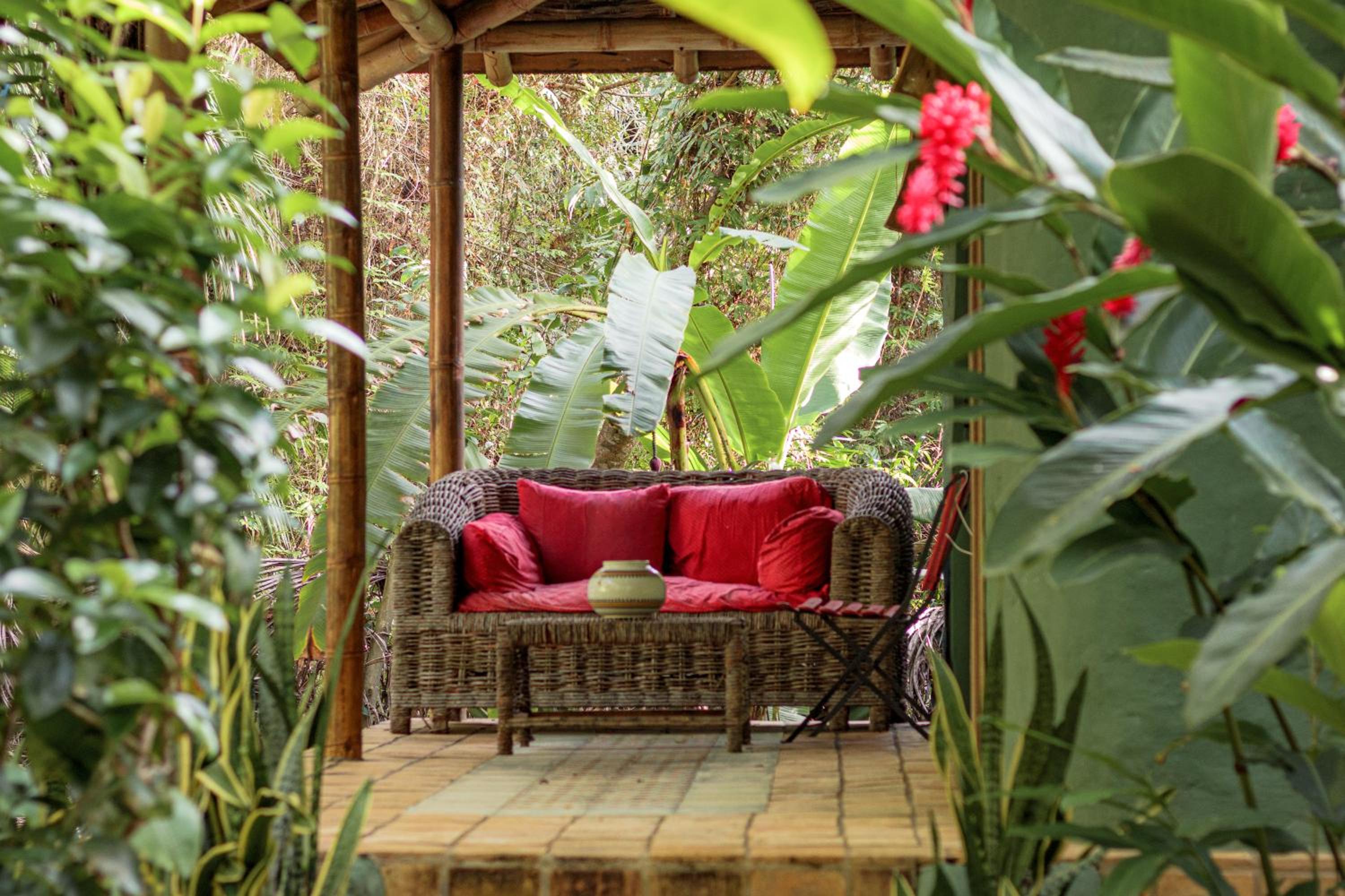 Butterfly House Bahia