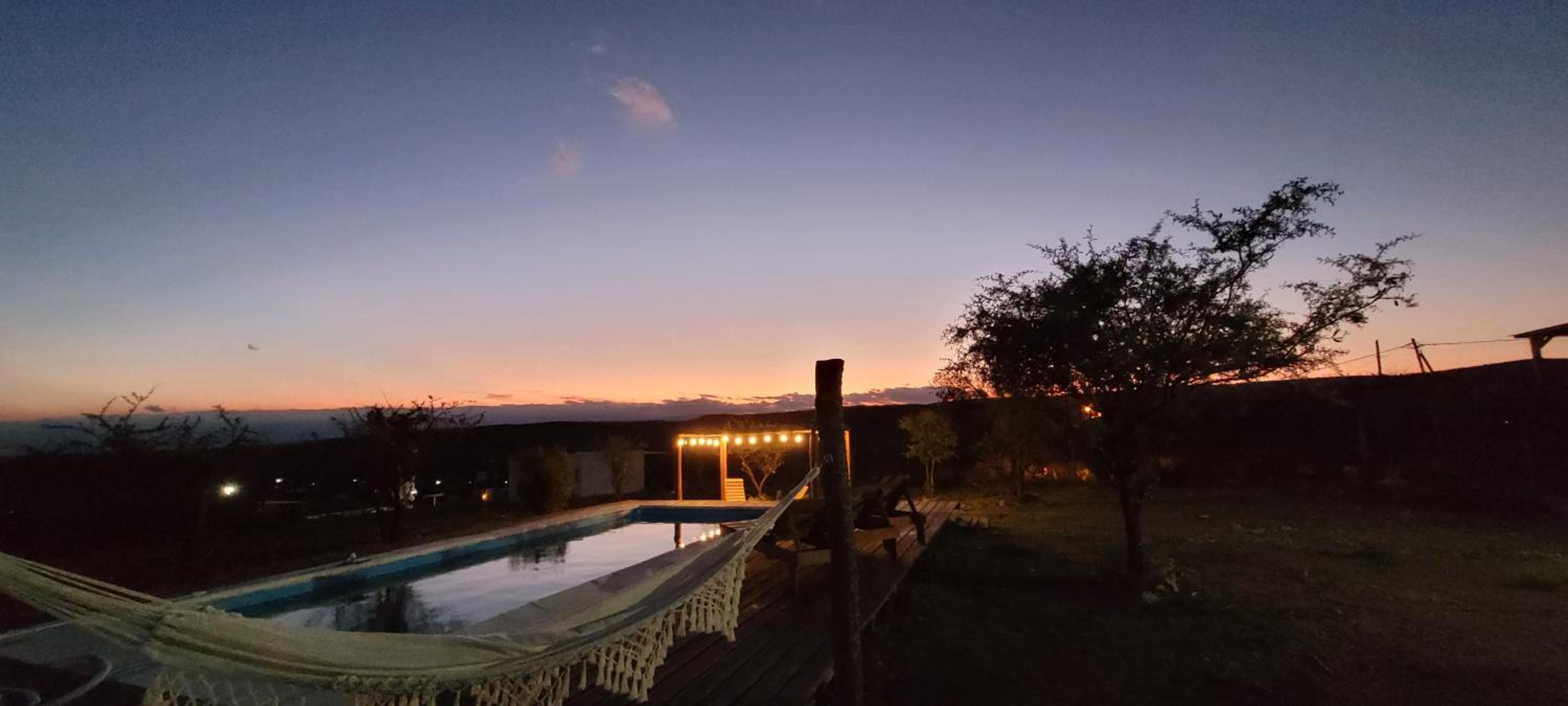 Aguarà del Sol-Aguarà Guazù