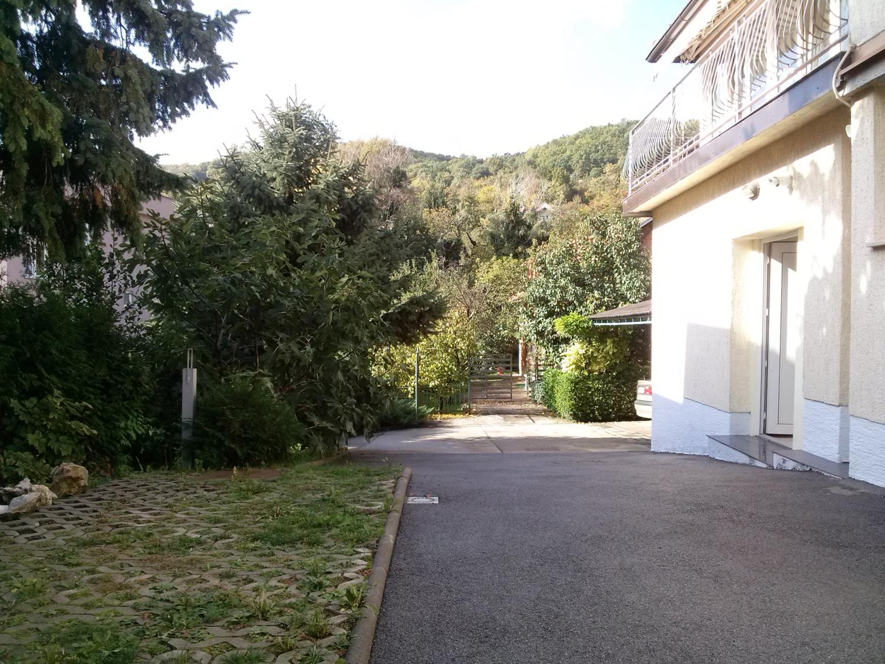 Photo 24