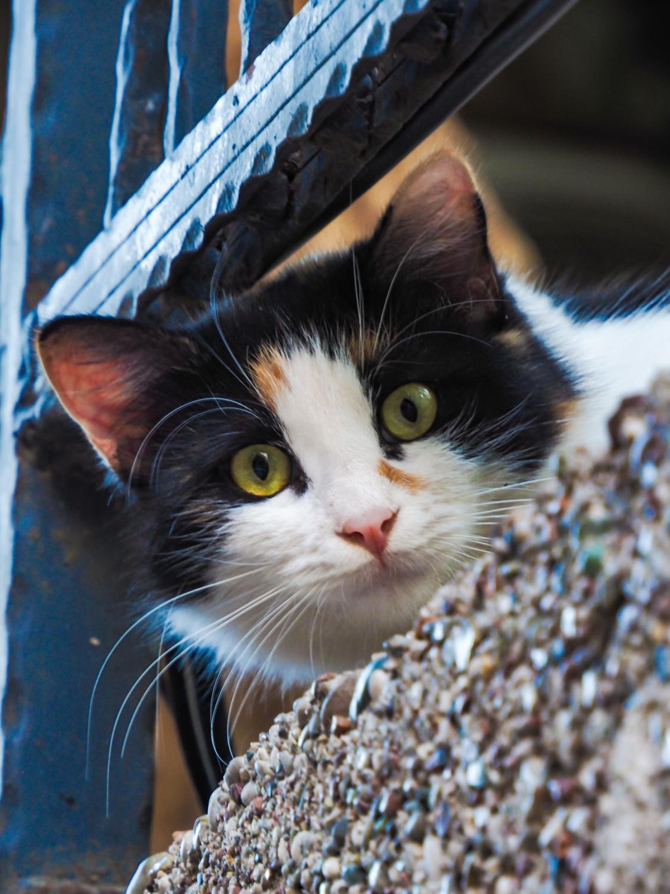 Casa Maria Hotel - Image 24