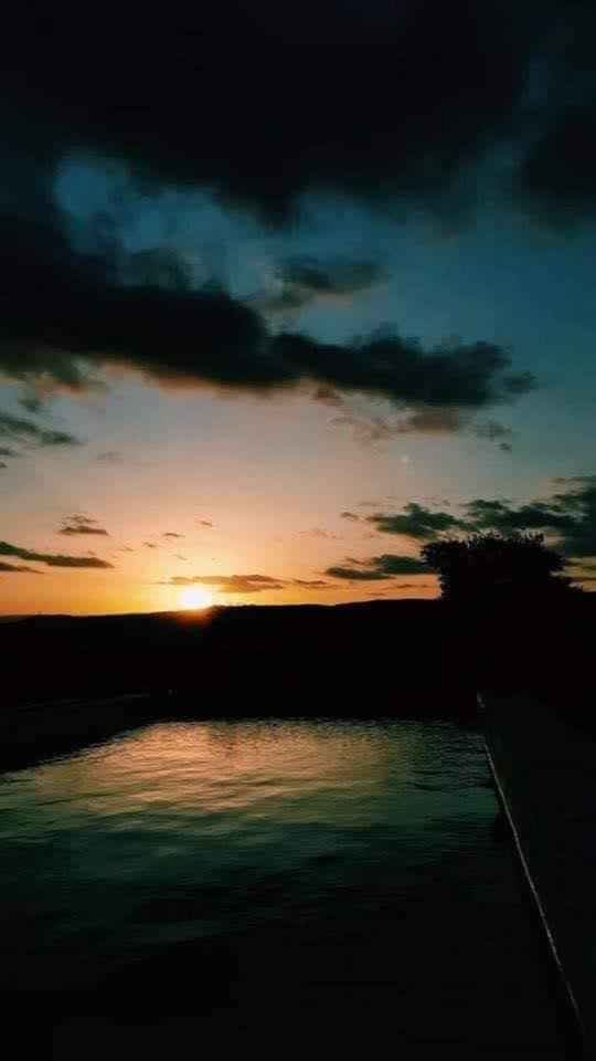 Aguarà del Sol-Aguarà Guazù