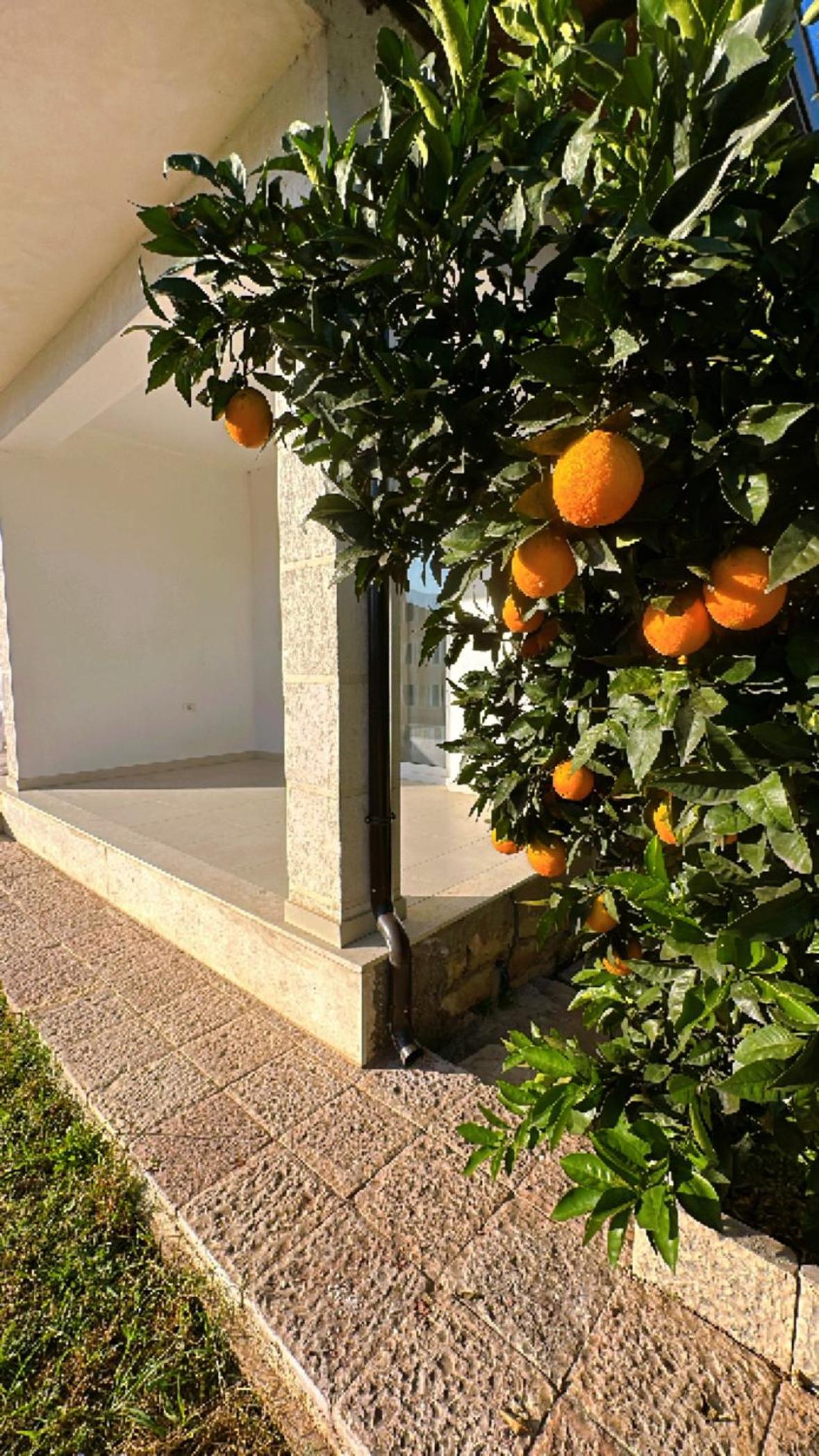 C Villa