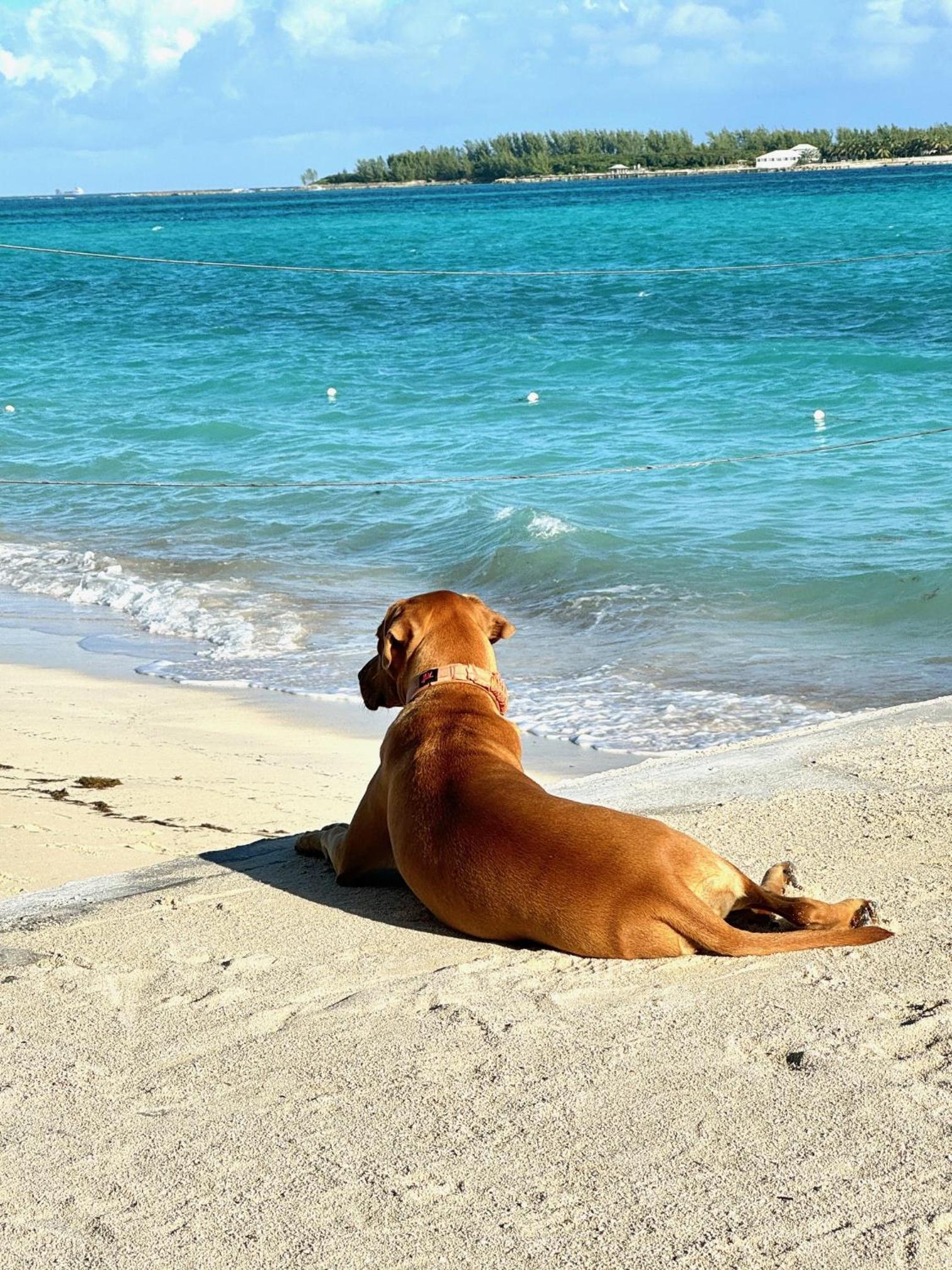 Delightful Cottage - 30 Secs Walk to the Beach