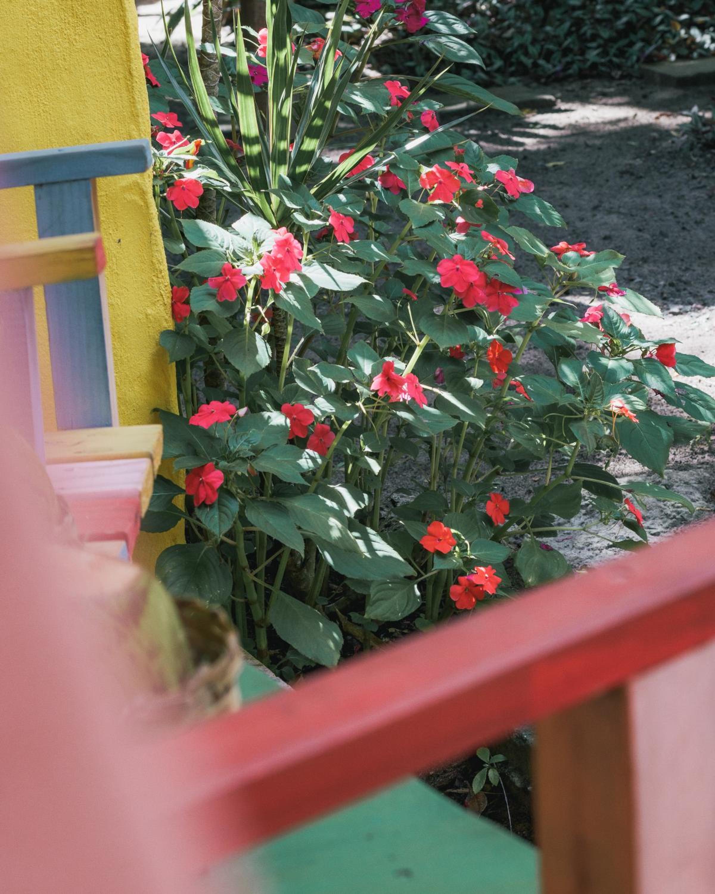 Butterfly House Bahia