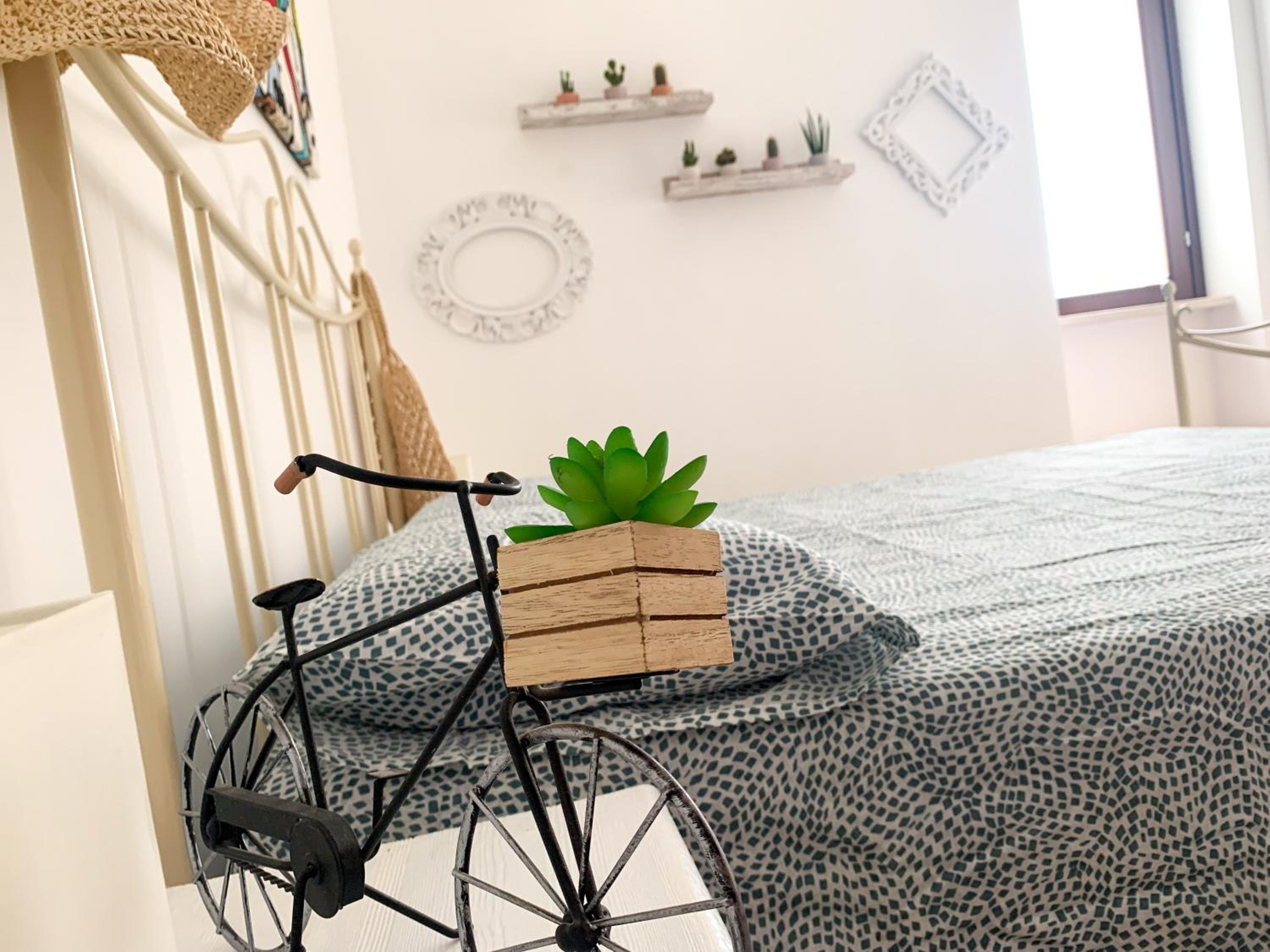 Lomi Home photo 5