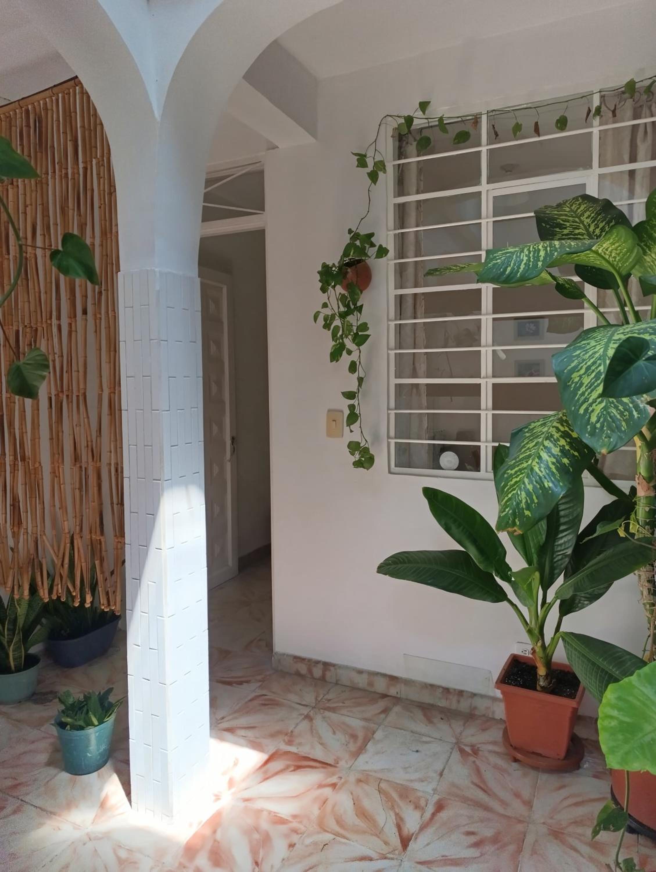 Habitación en San Antonio