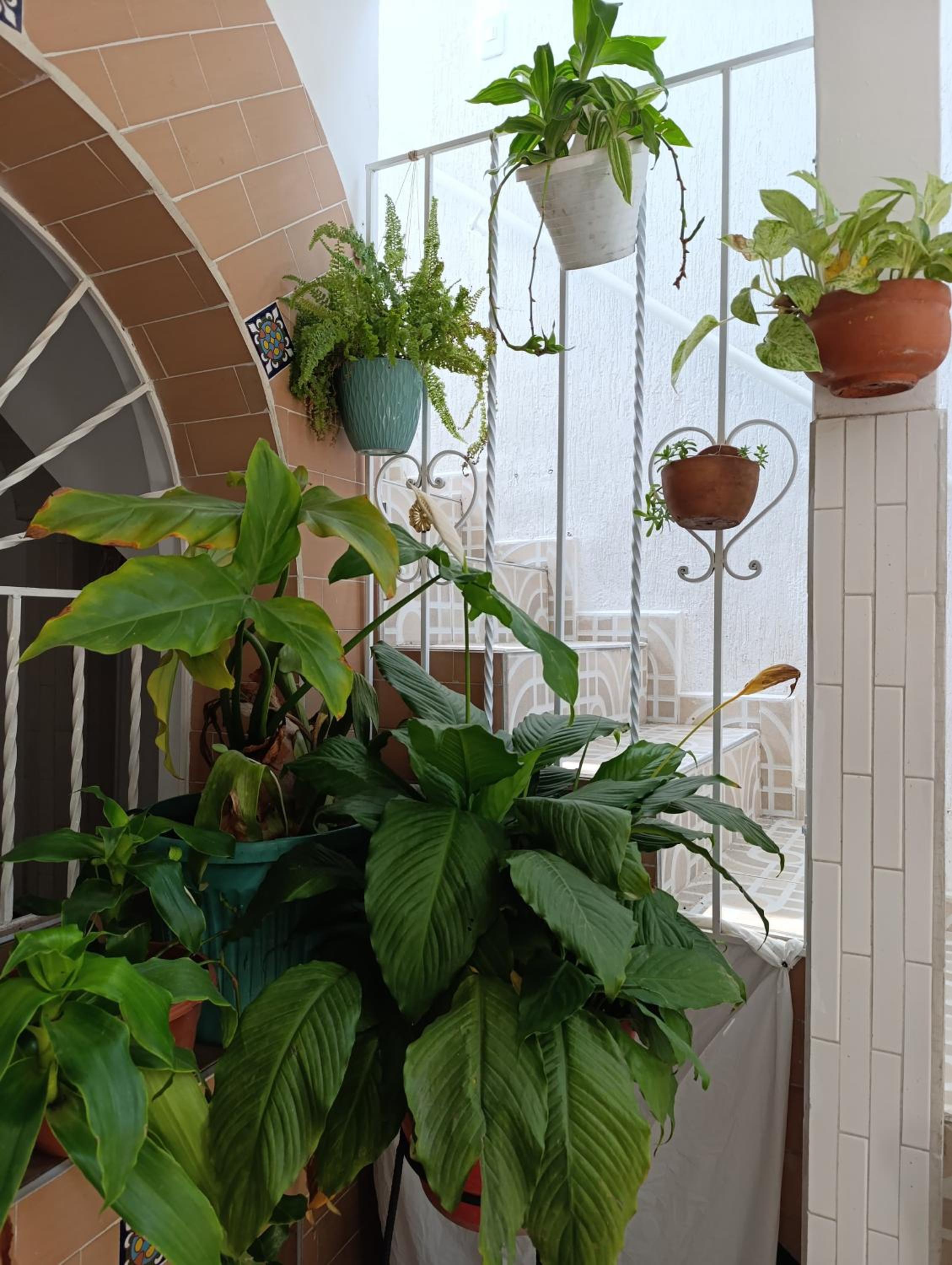 Habitación en San Antonio