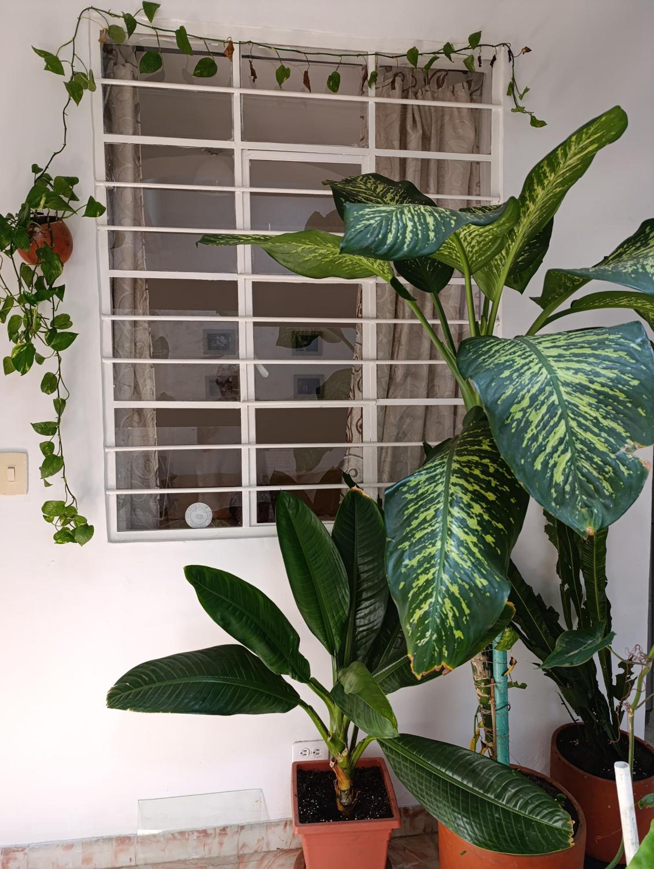 Habitación en San Antonio