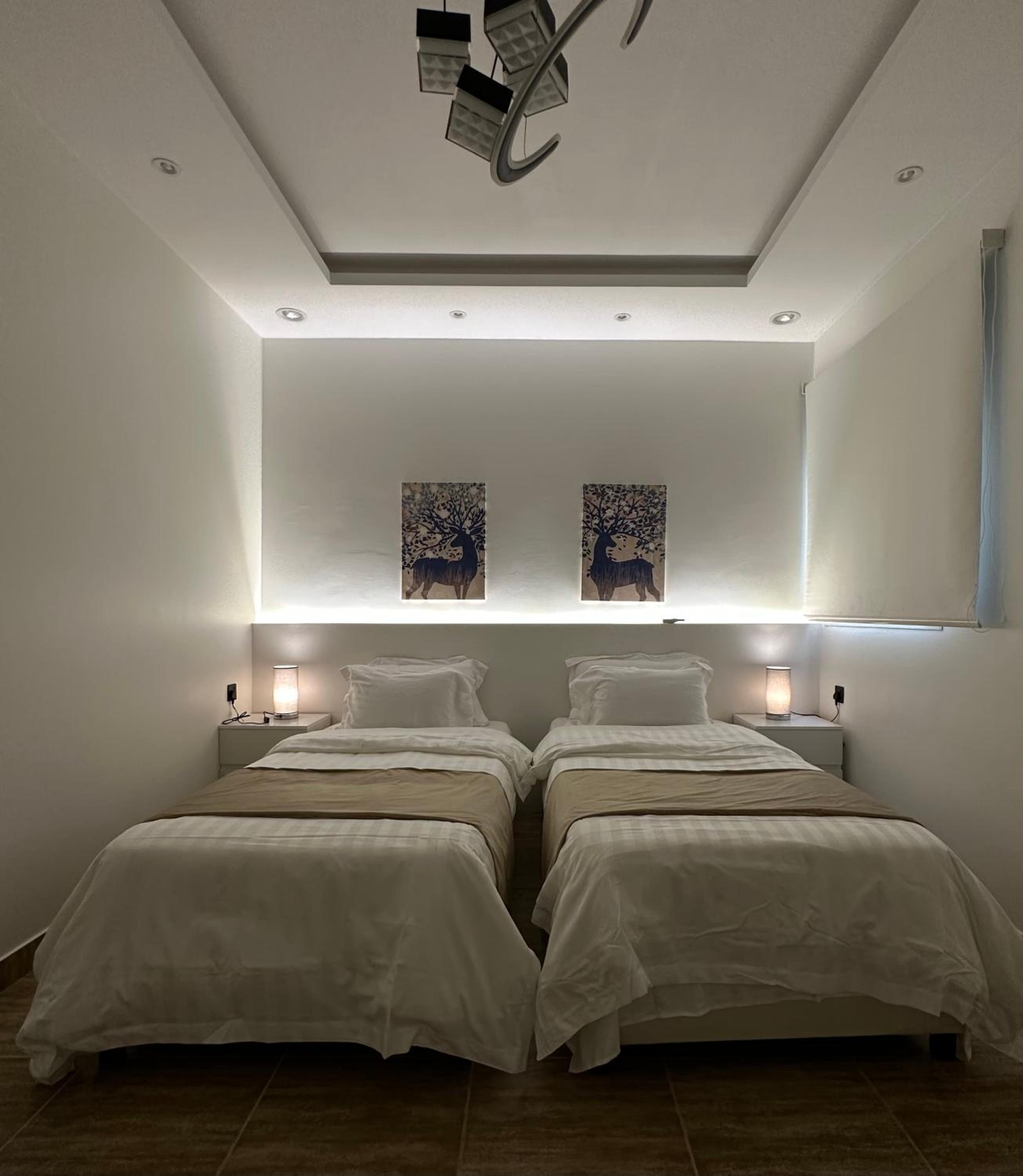Modern & Cozy Apartment - 2