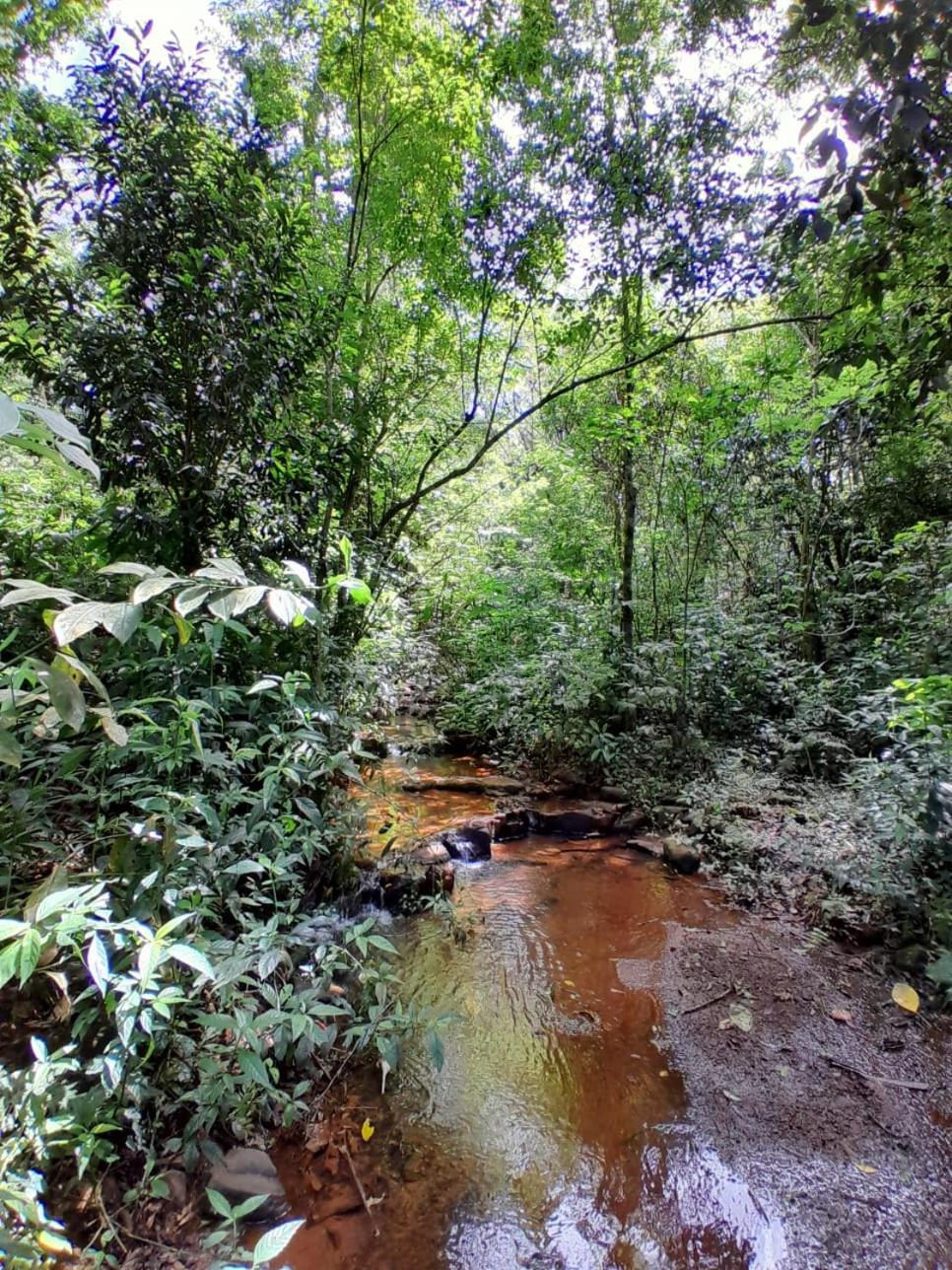 Cabaña Las Marias Iguazu
