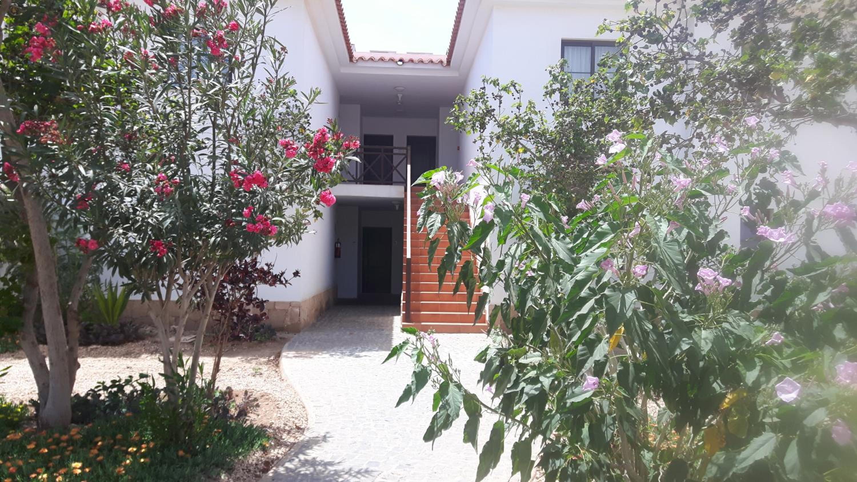Tortuga beach resort Penthouse apartment for holiday rental