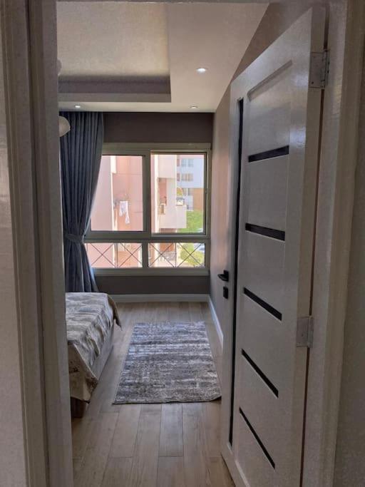 New cairo rehab haven