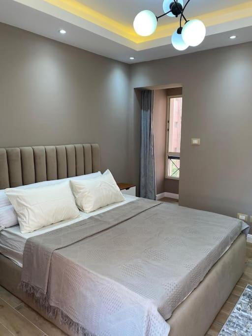 New cairo rehab haven