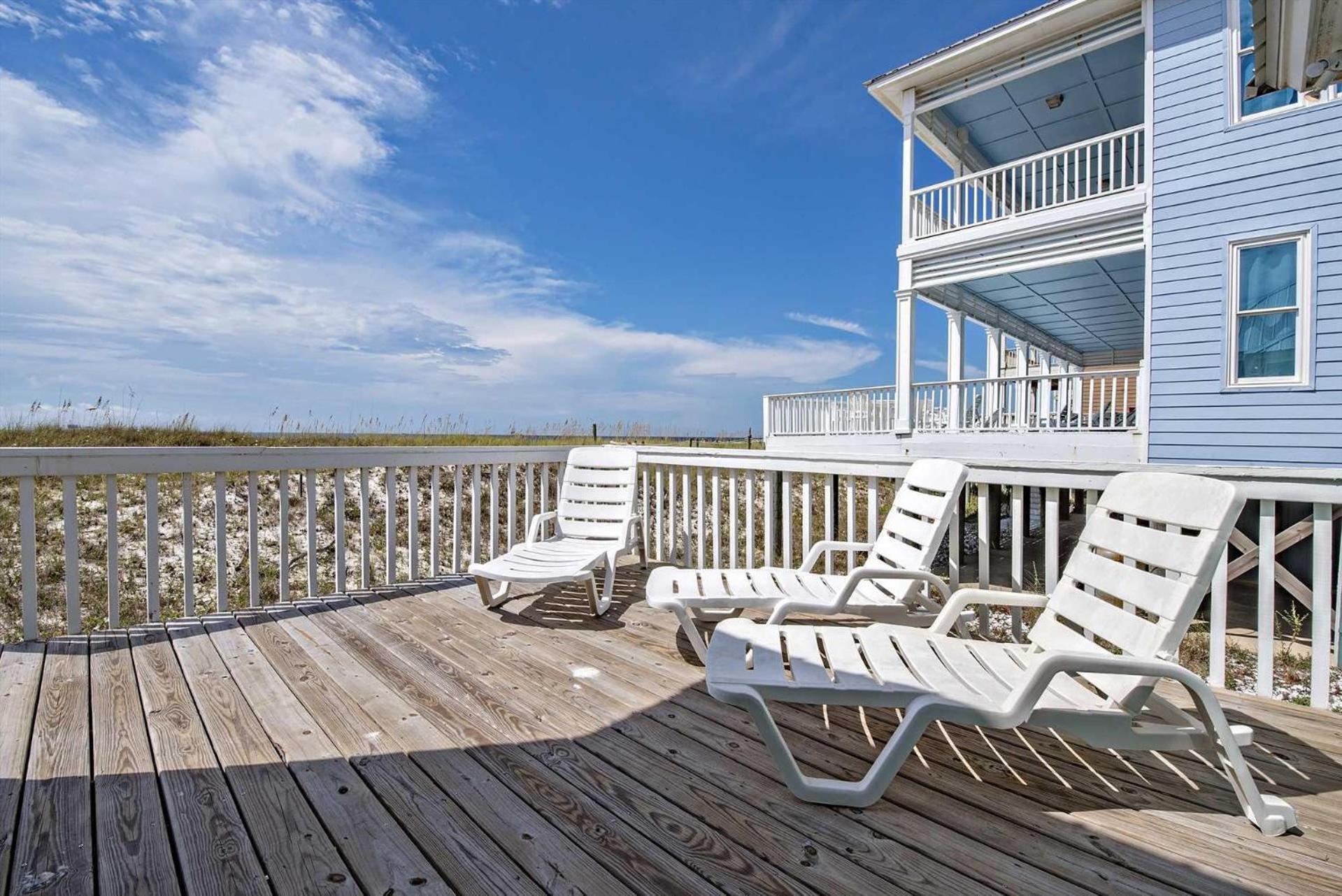 Bairds Blue Dolphin view 4