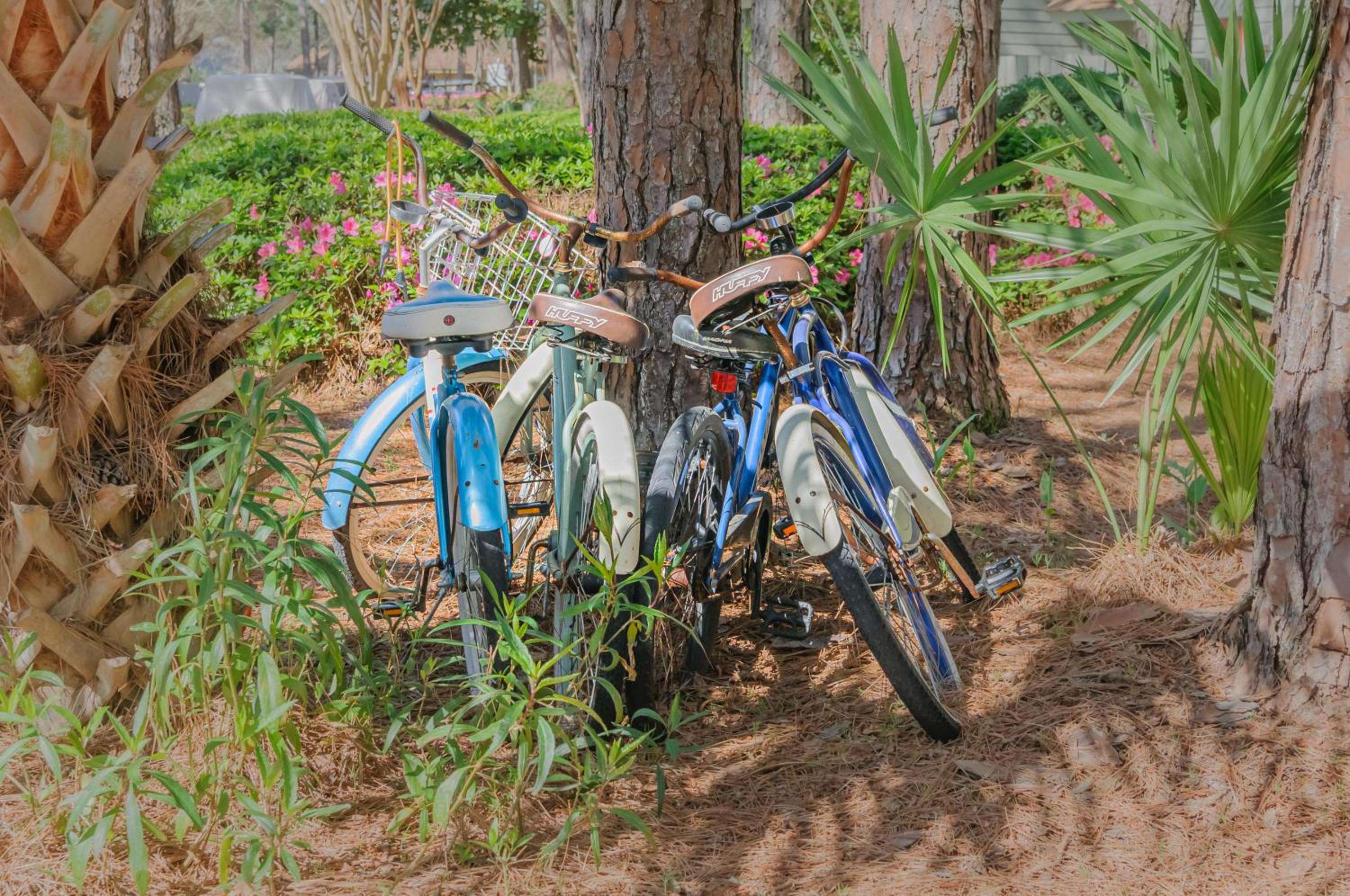 activities & amenities