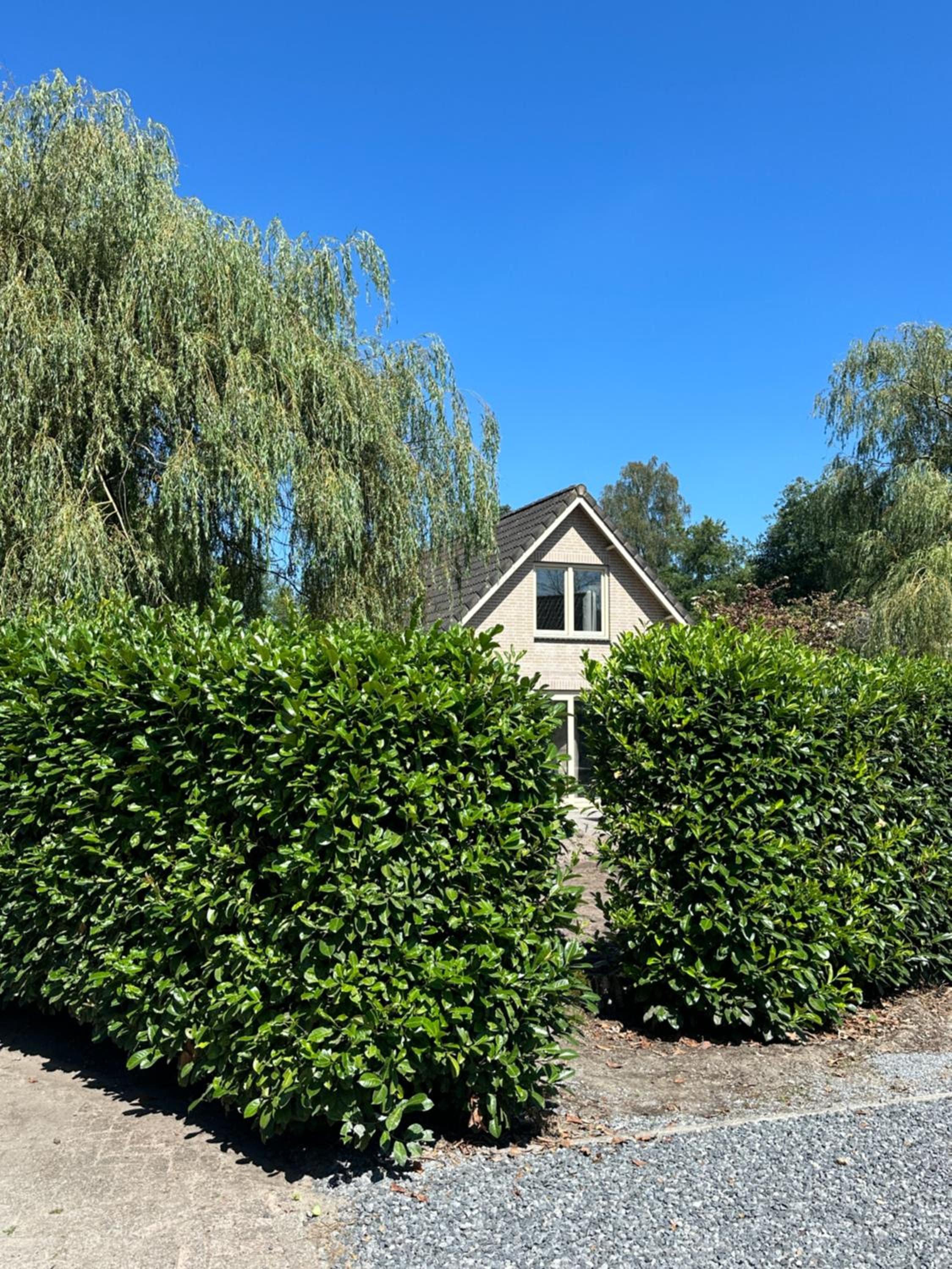 Photo 27