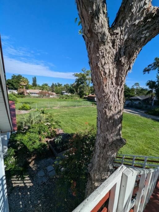 Welcome to the Treetop Villa - An Orlando Victorian Getaway