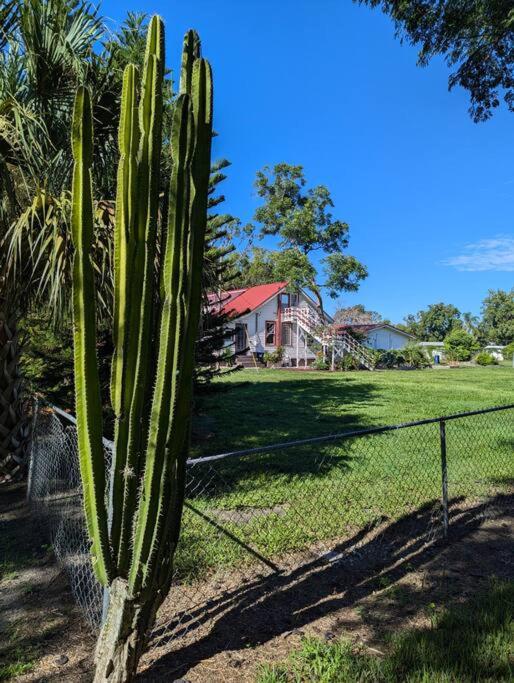 Welcome to the Treetop Villa - An Orlando Victorian Getaway