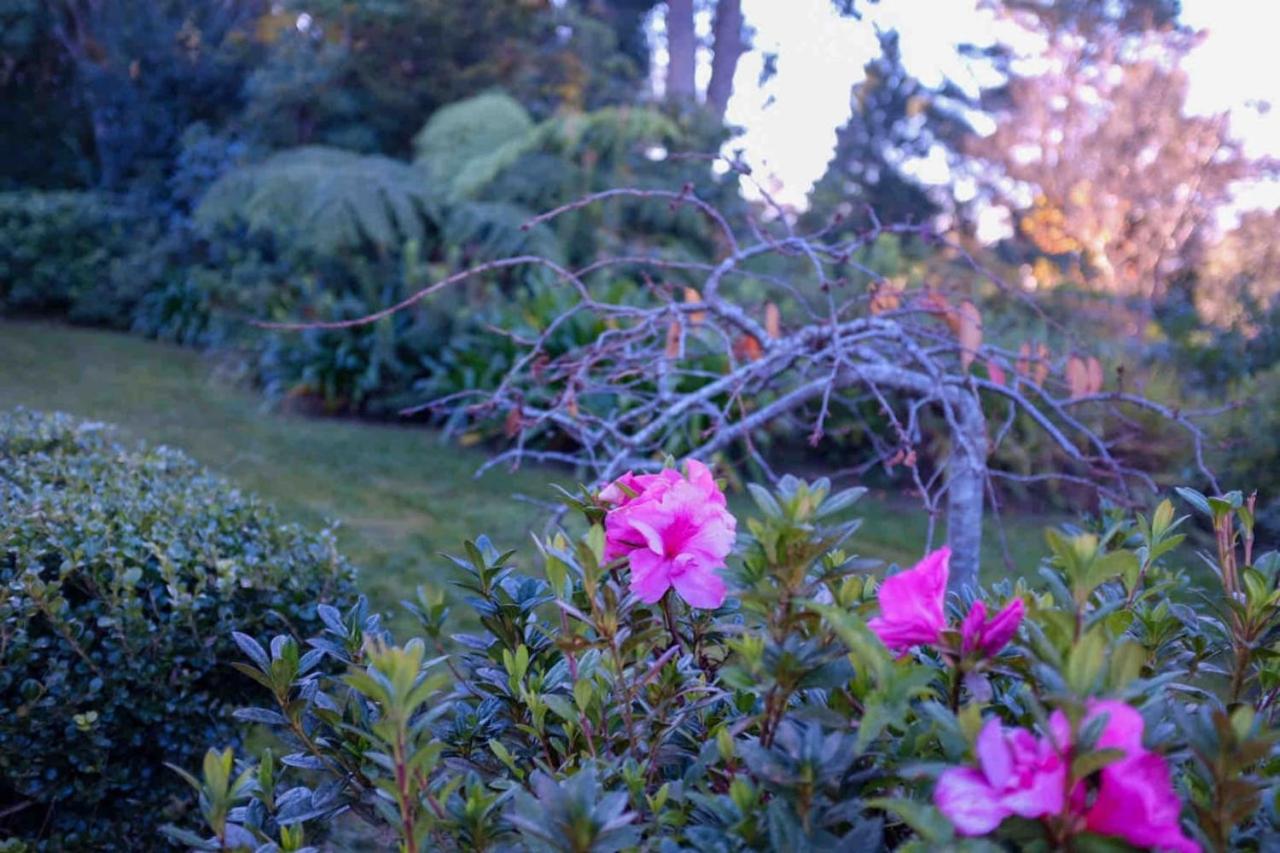 Sublime Art Deco Cottage - Leura, Blue Mountains