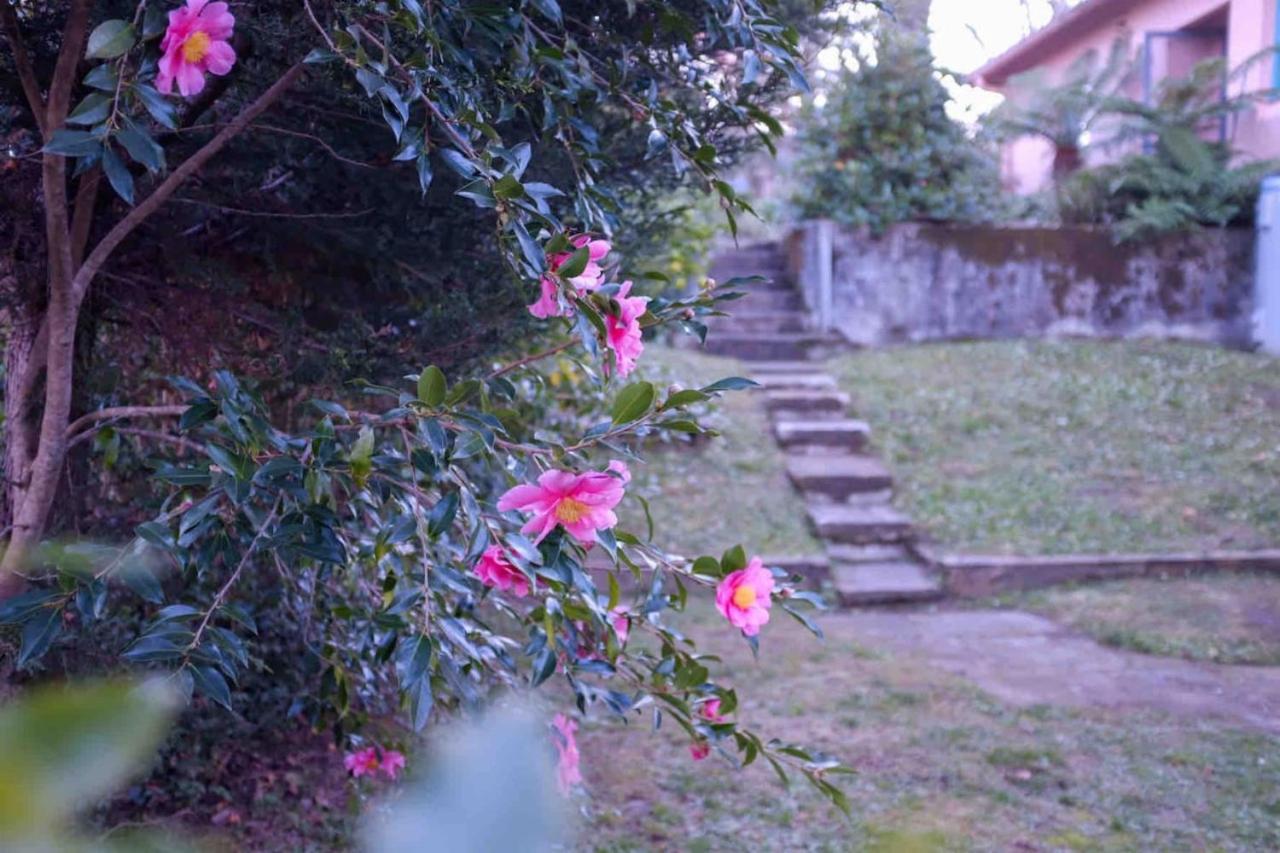 Sublime Art Deco Cottage - Leura, Blue Mountains