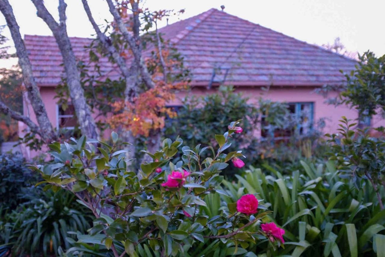 Sublime Art Deco Cottage - Leura, Blue Mountains