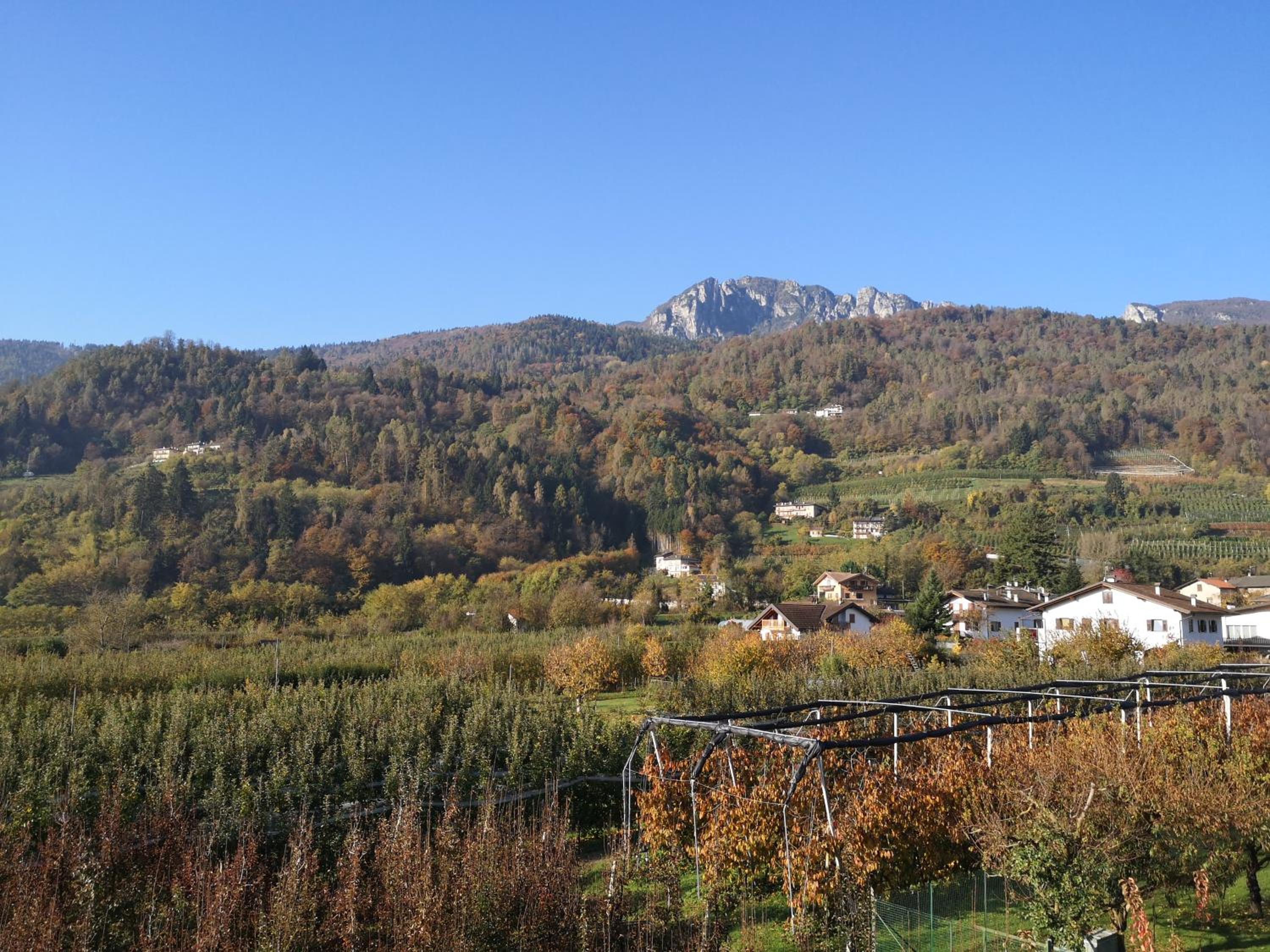 Photo 46