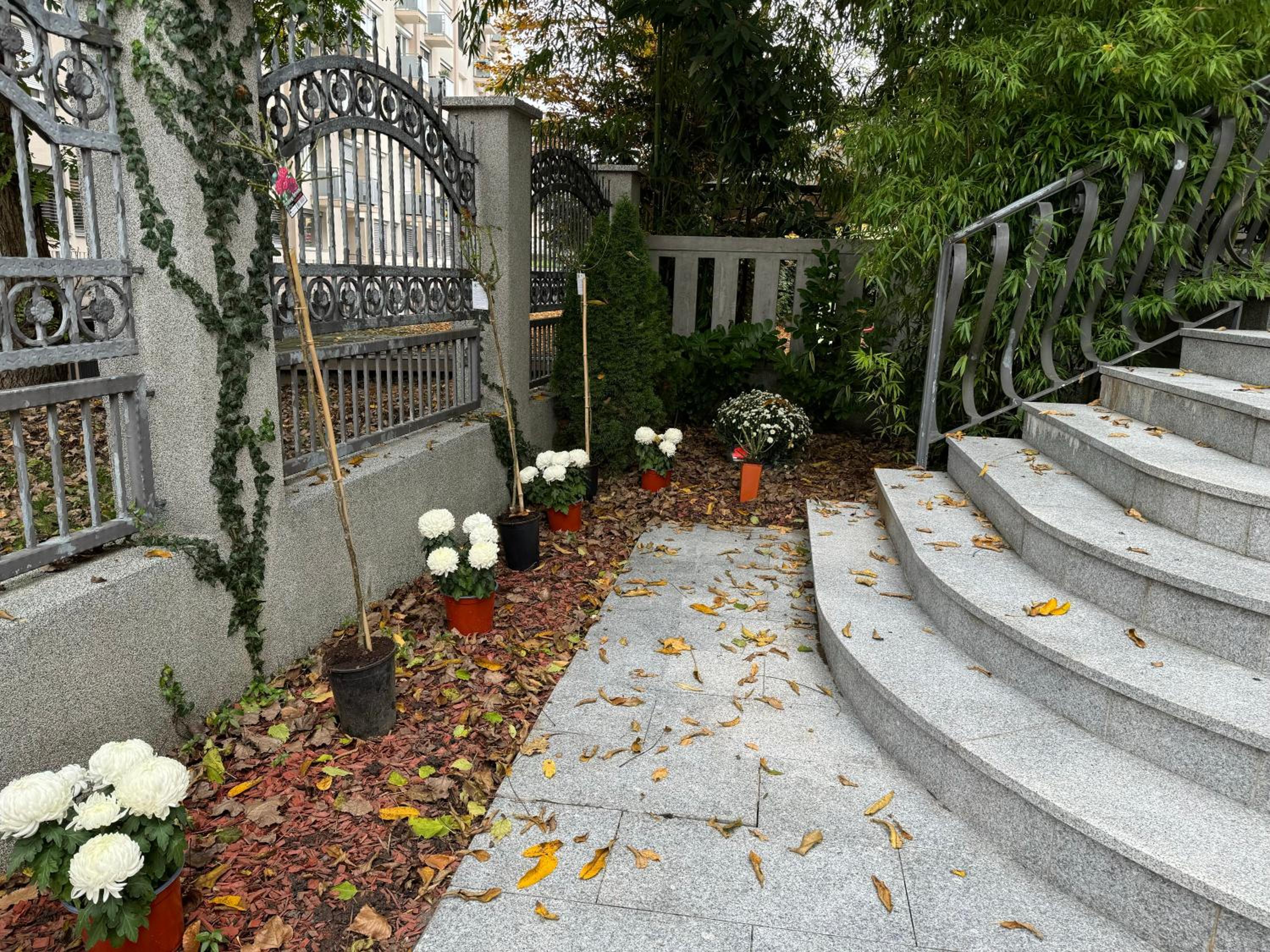Photo 10
