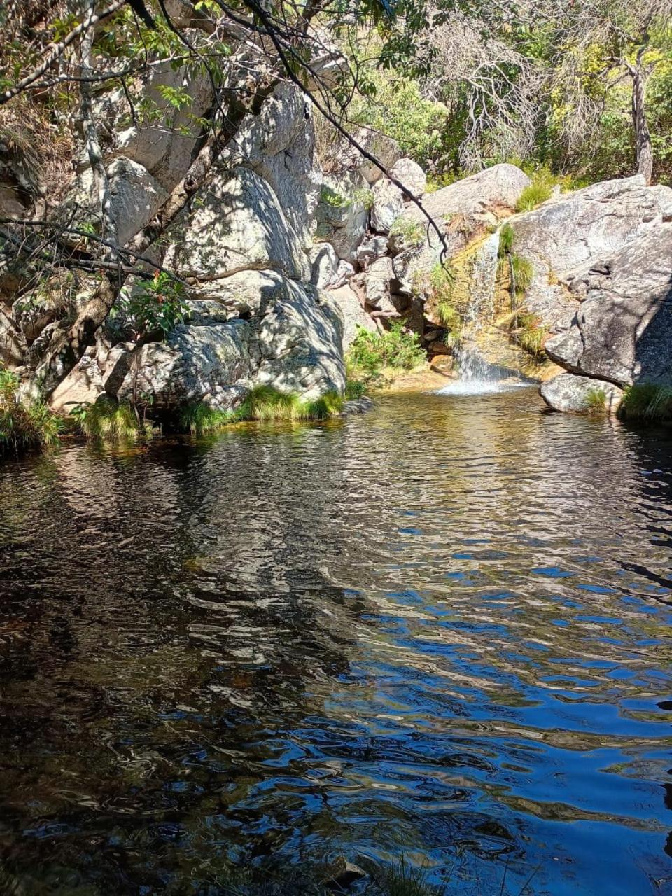 Chale3 Rabodegalo