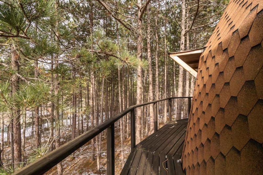 The Forest Sea Dome
