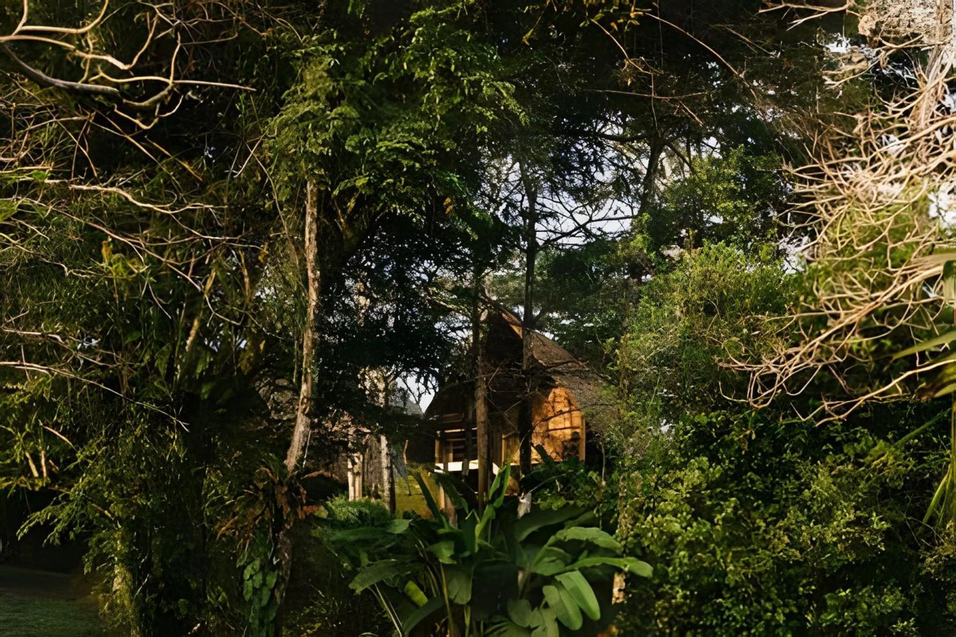 Balsa Nueva Lodge