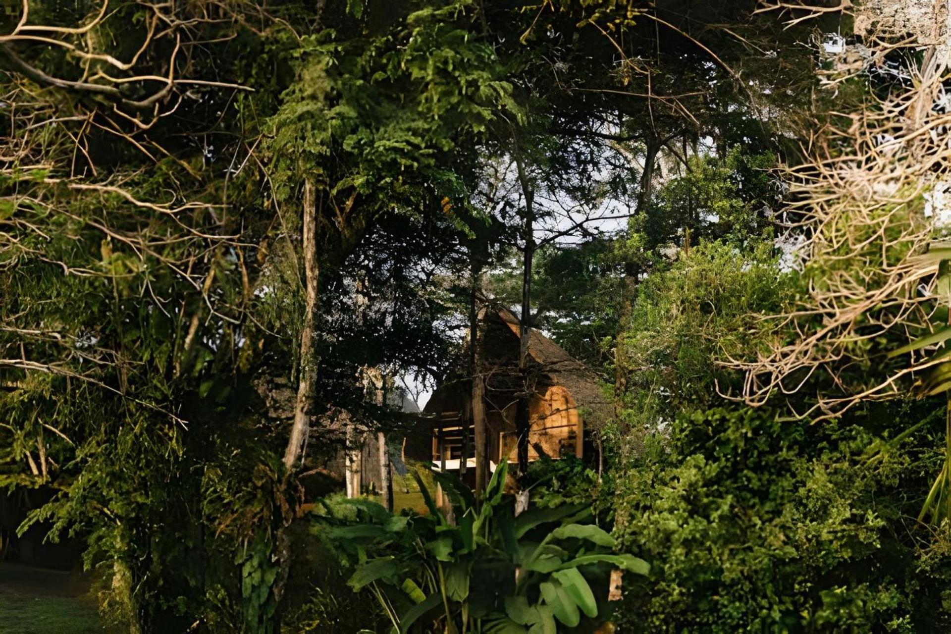 Balsa Nueva Lodge