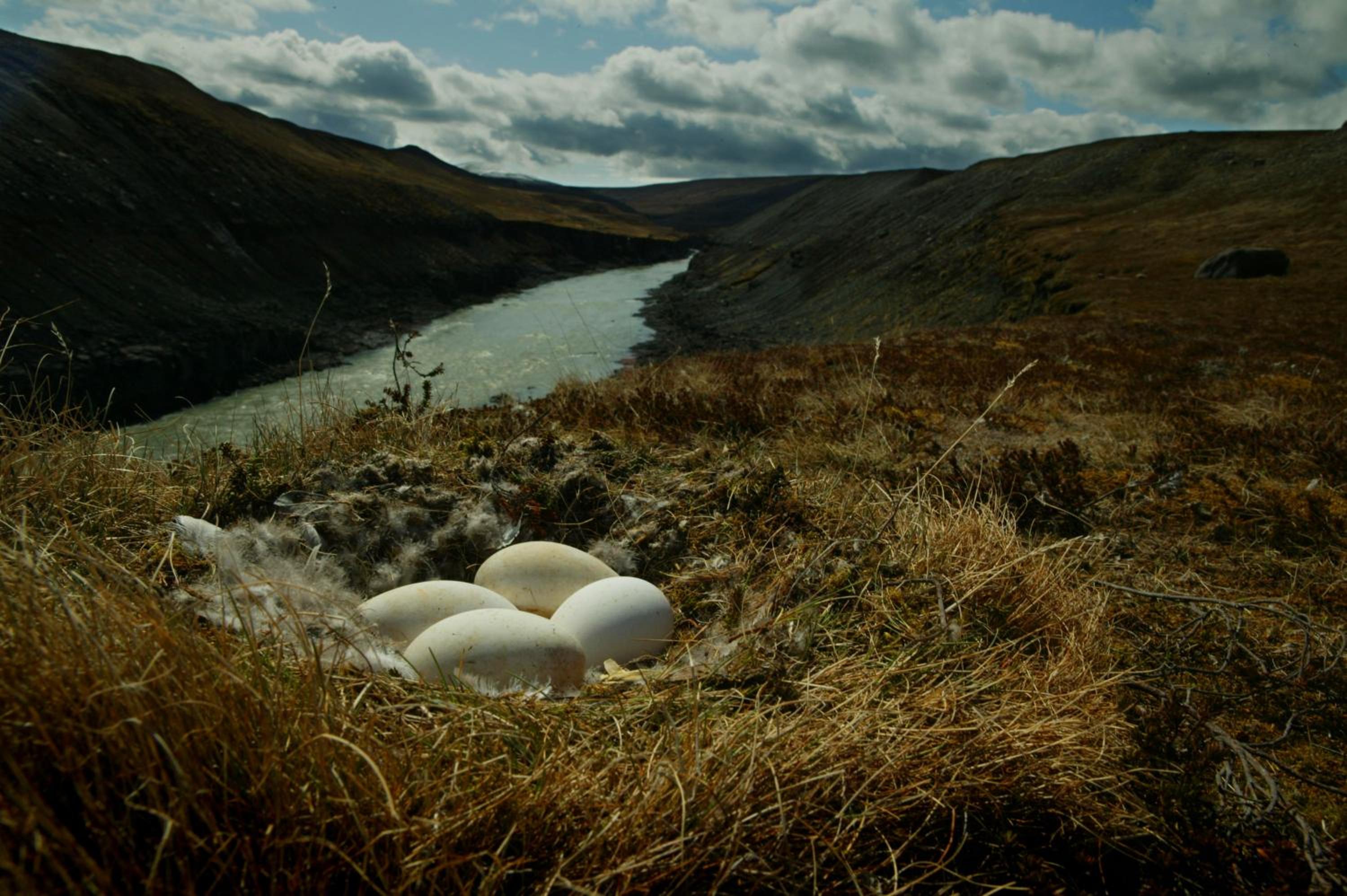 Wilderness Center / Óbyggðasetur Íslands