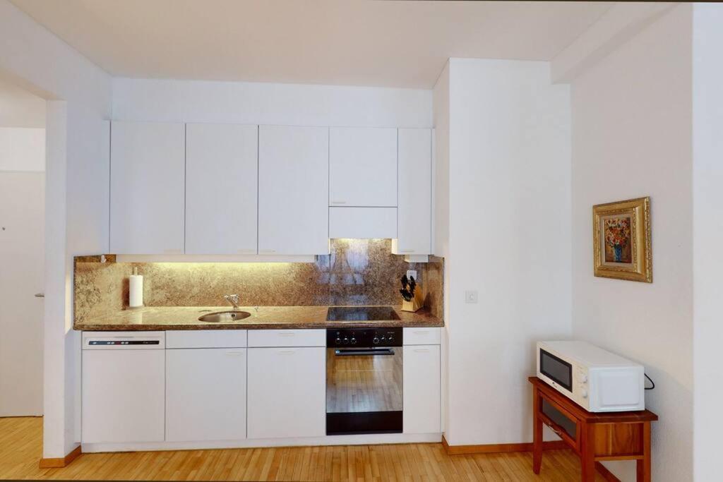 Nice 1BR apartment near lake - FB6