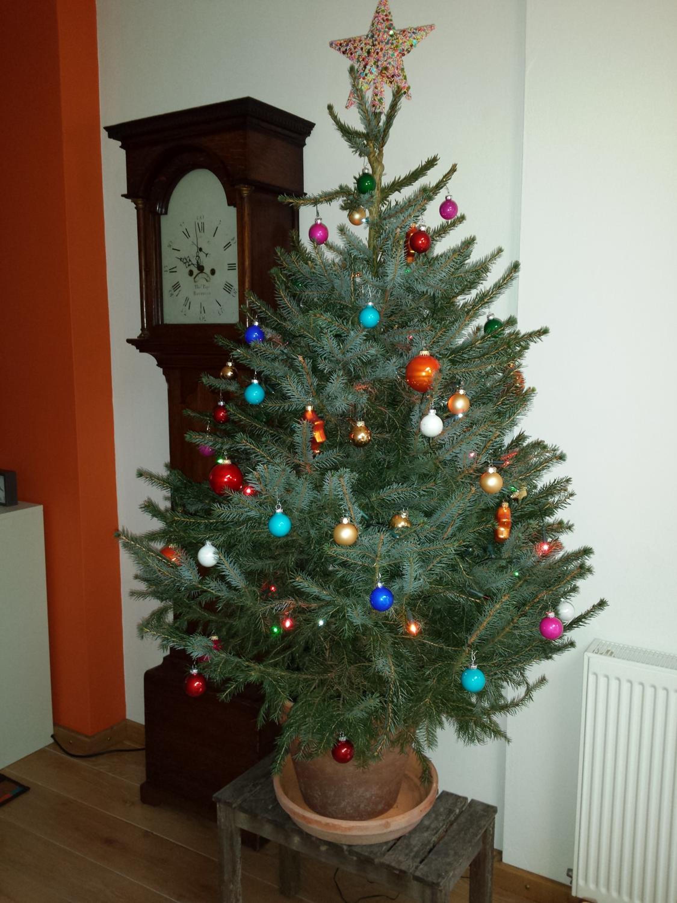 Photo 17