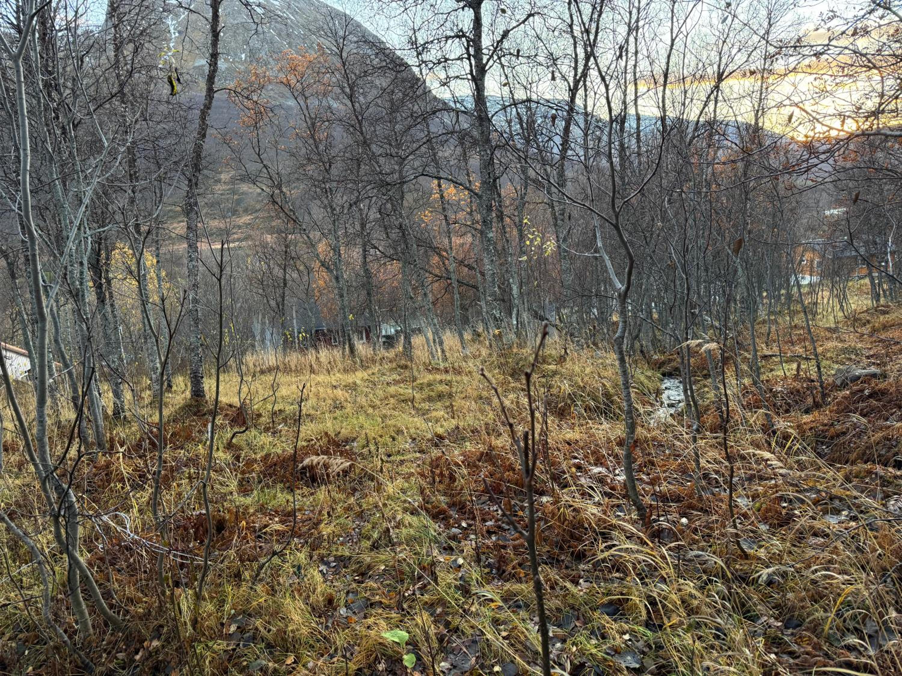 Apartment for 4 in Nature with Mountain View, 3 km from Beach