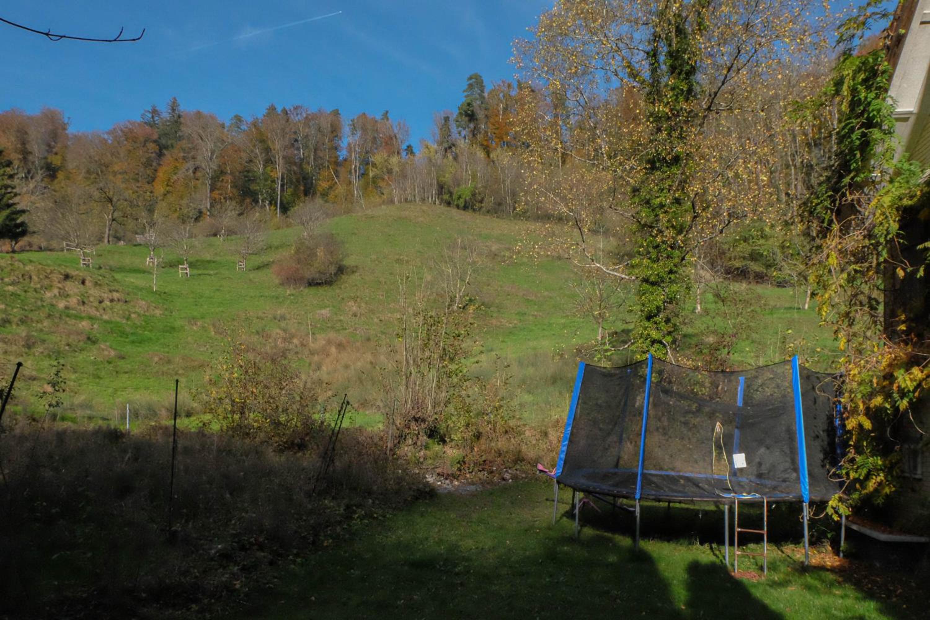 Ferienwohnung im Grünen view 2