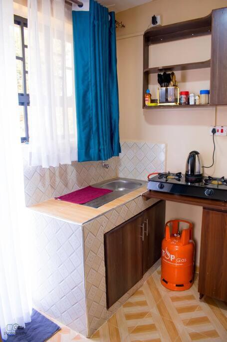 The Ehajis Exclusive Studio Apartment in Elgon View Near Sports Club, Eldoret view 4