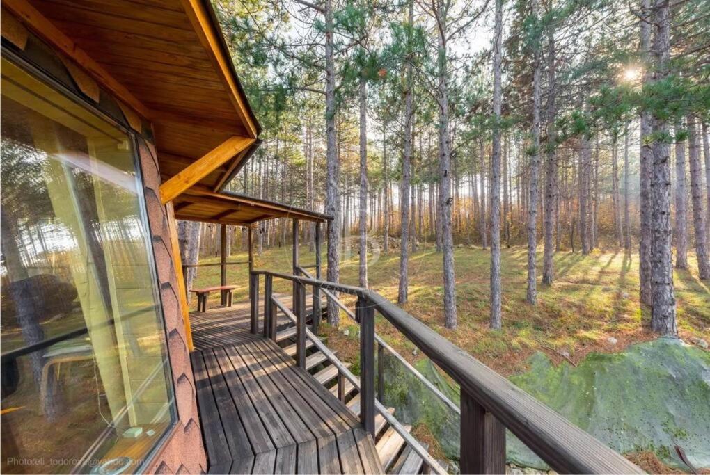 Cozy Studio with Forest View & Bath - 10min drive to Black Sea Beach
