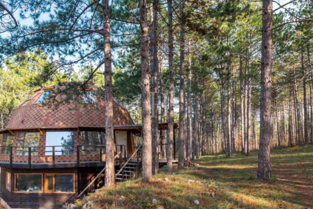 Cozy Studio with Forest View & Bath - 10min drive to Black Sea Beach
