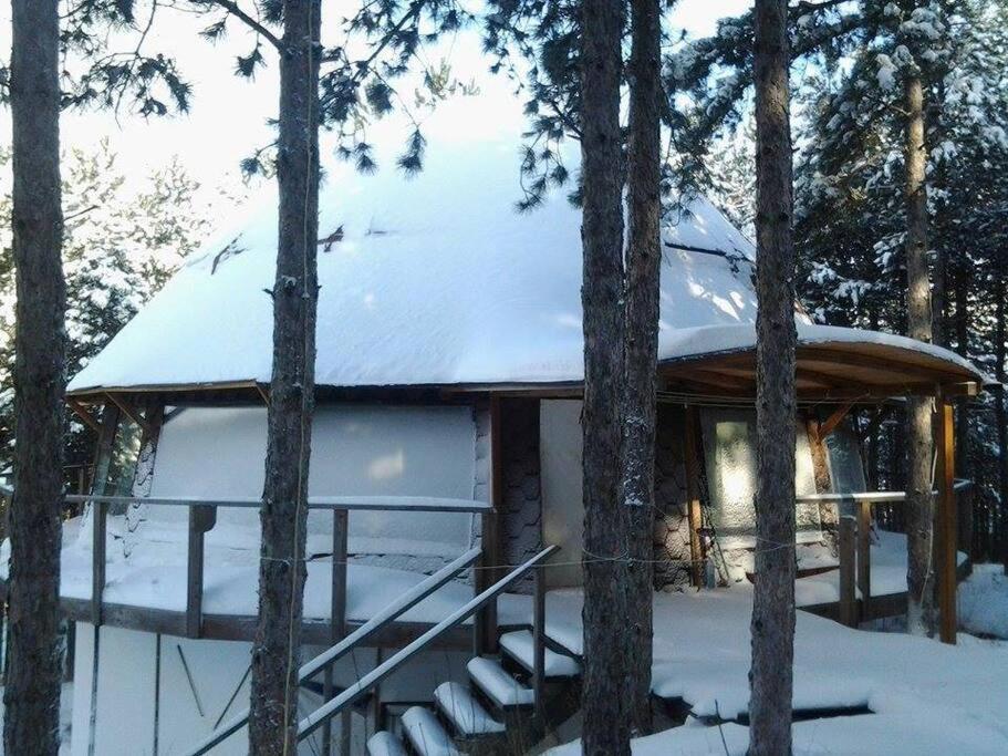 Cozy Studio with Forest View & Bath - 10min drive to Black Sea Beach