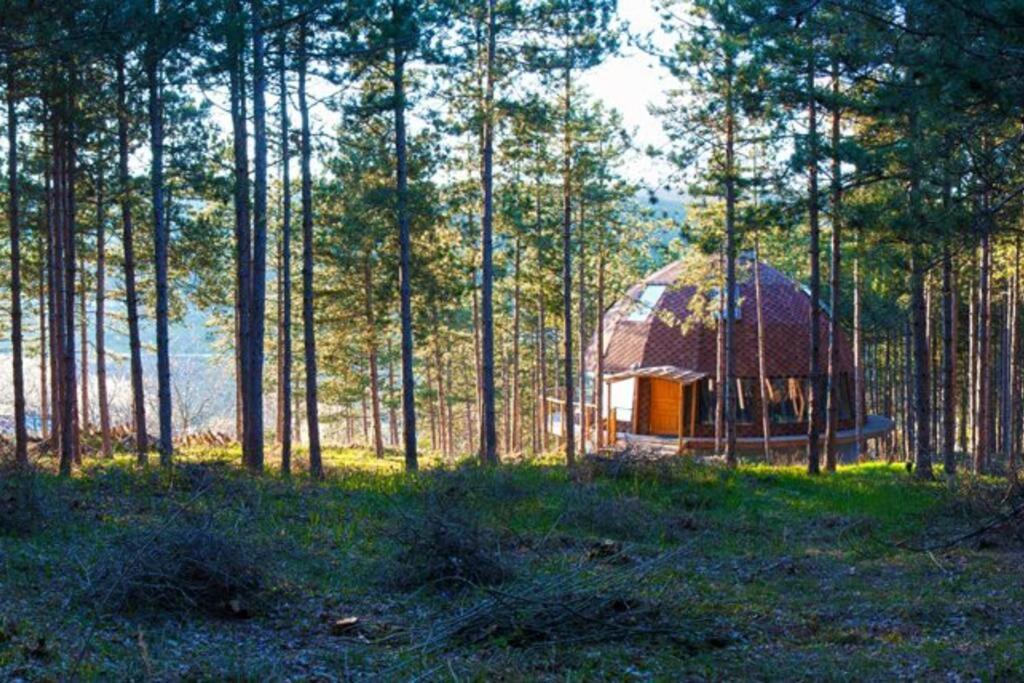 Cozy Studio with Forest View & Bath - 10min drive to Black Sea Beach