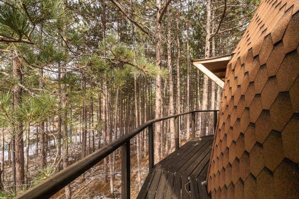 Cozy Studio with Forest View & Bath - 10min drive to Black Sea Beach